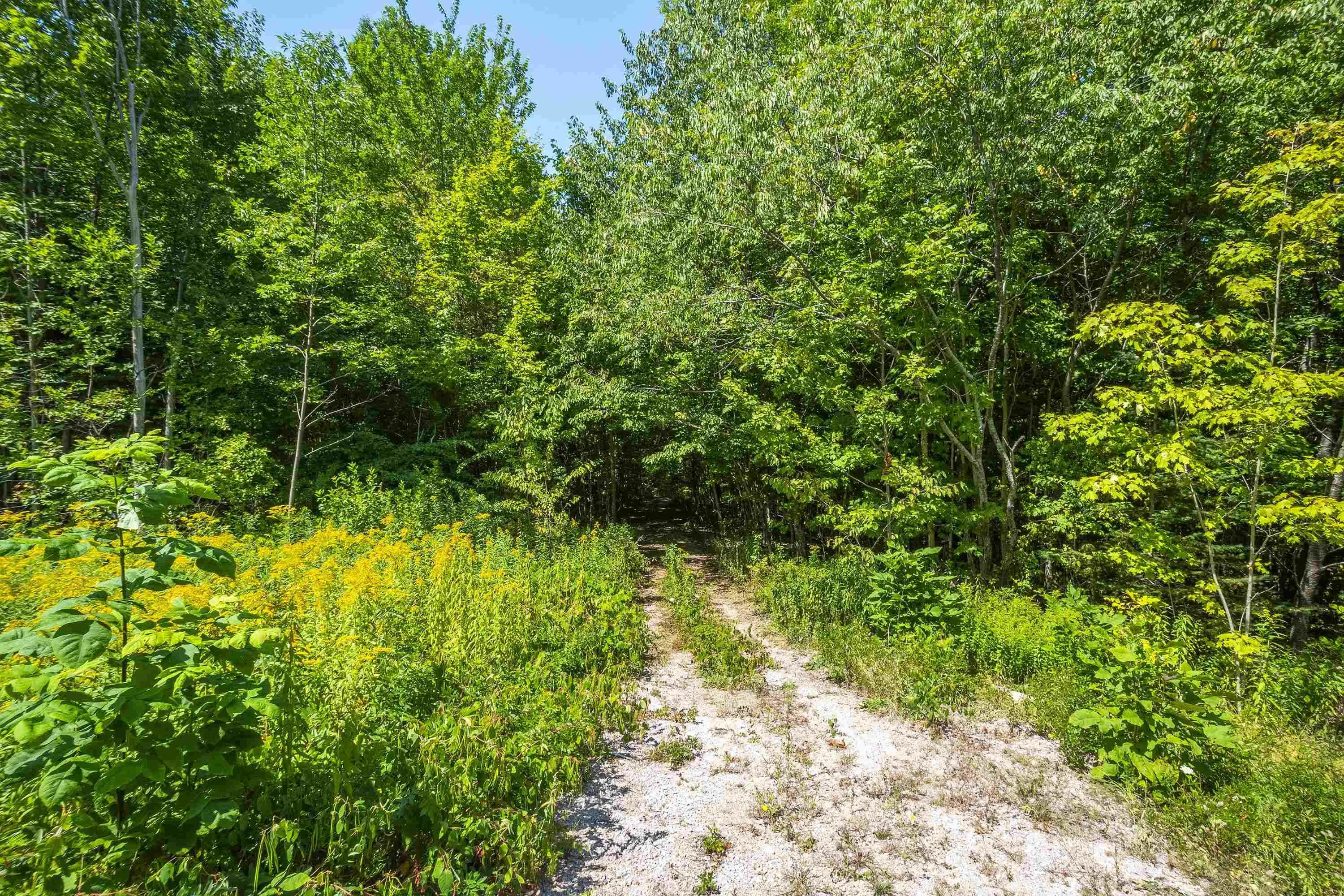 Lot 201 Highway, South Williamston, NS B0S 1M0, ,Land,For Sale,201,202520356