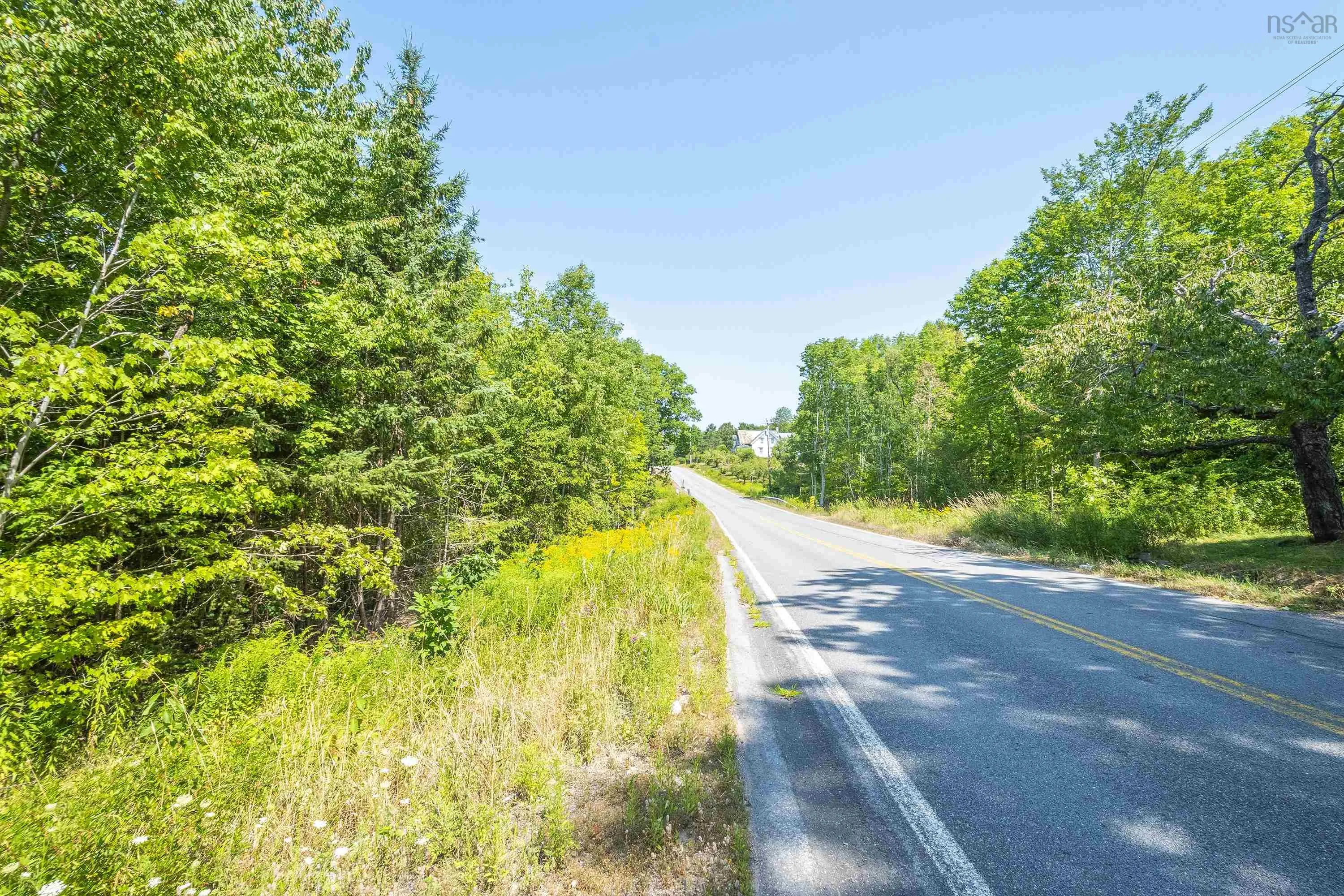 Lot 201 Highway, South Williamston, NS B0S 1M0, ,Land,For Sale,201,202520356