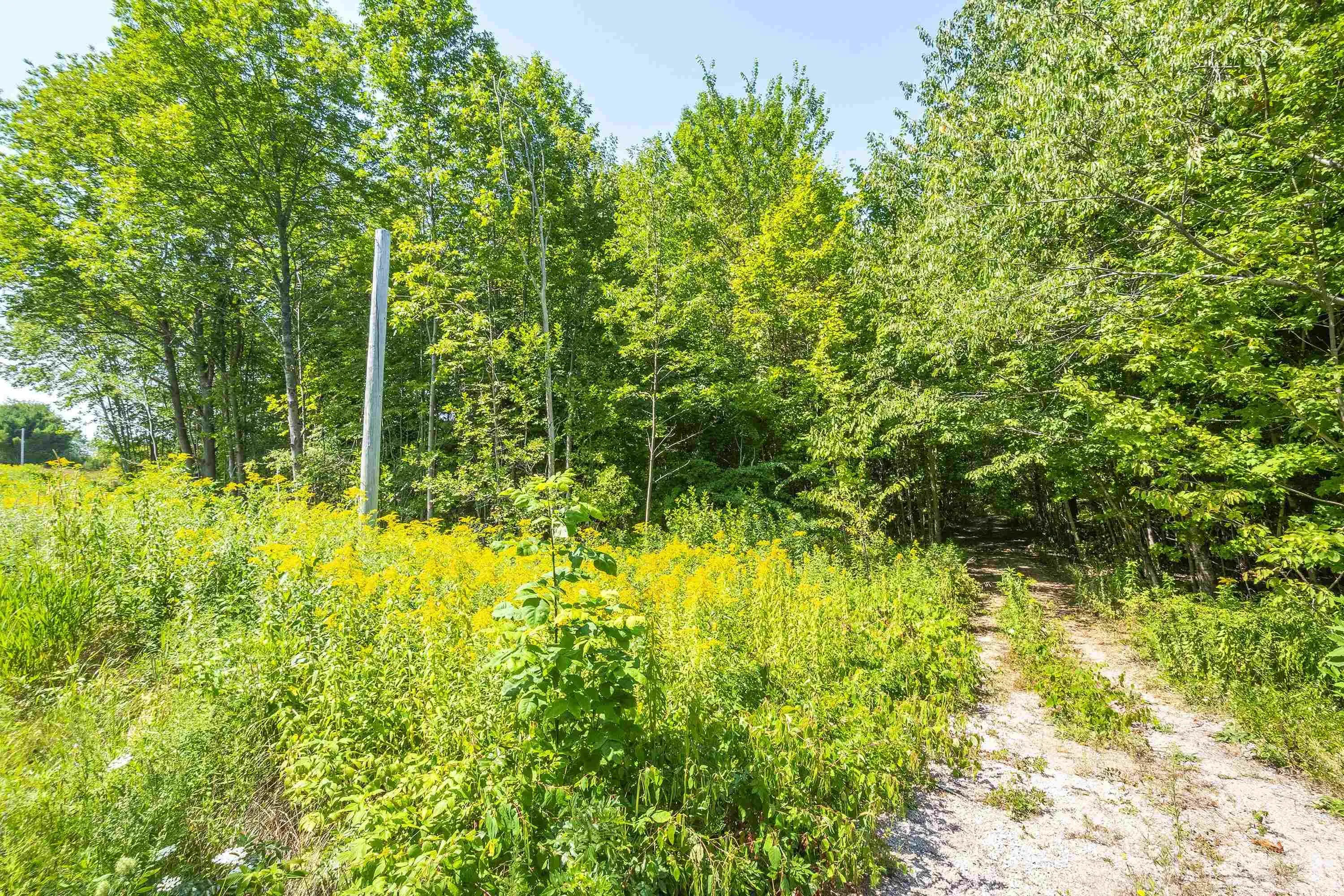 Lot 201 Highway, South Williamston, NS B0S 1M0, ,Land,For Sale,201,202520356