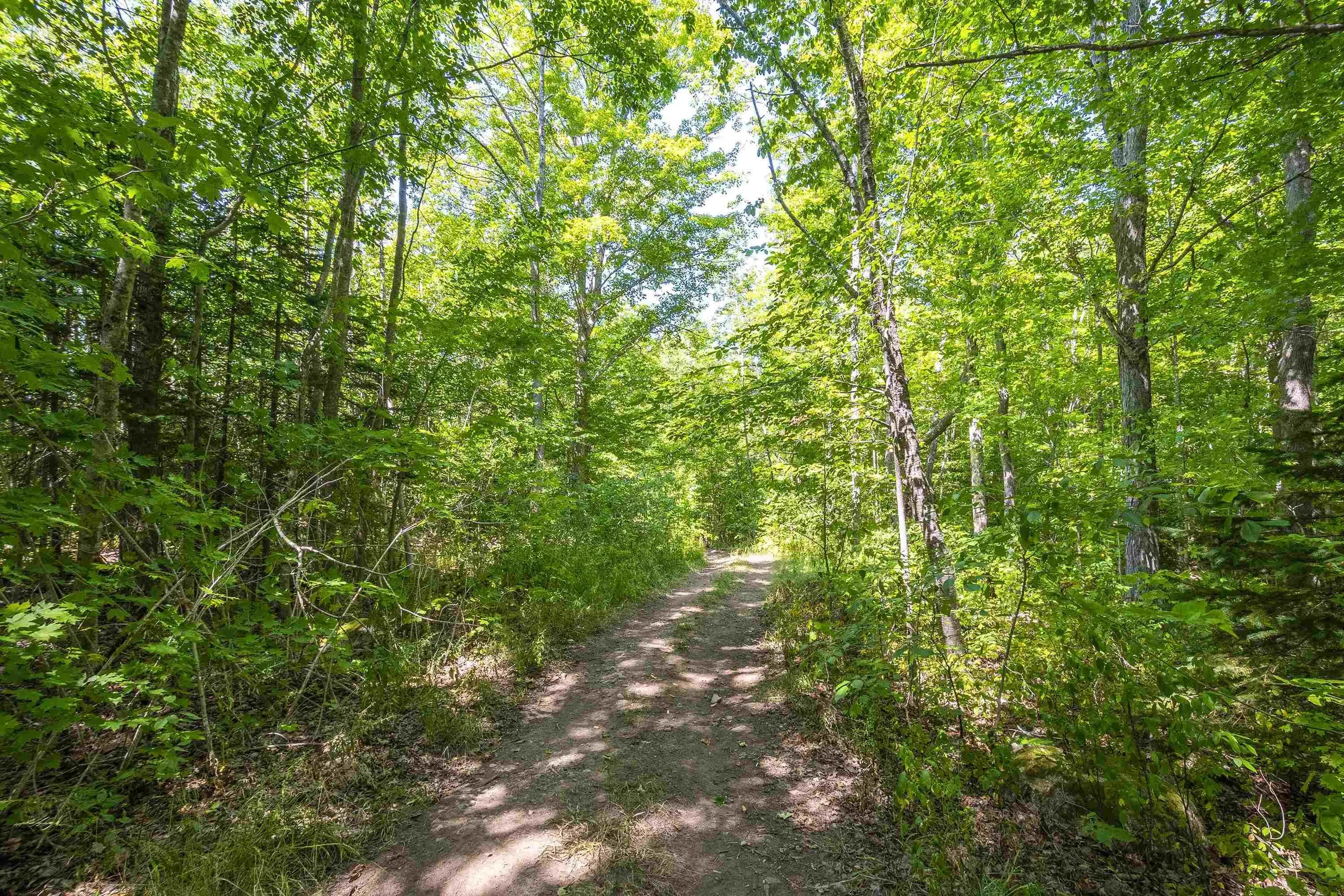 Lot 201 Highway, South Williamston, NS B0S 1M0, ,Land,For Sale,201,202520356