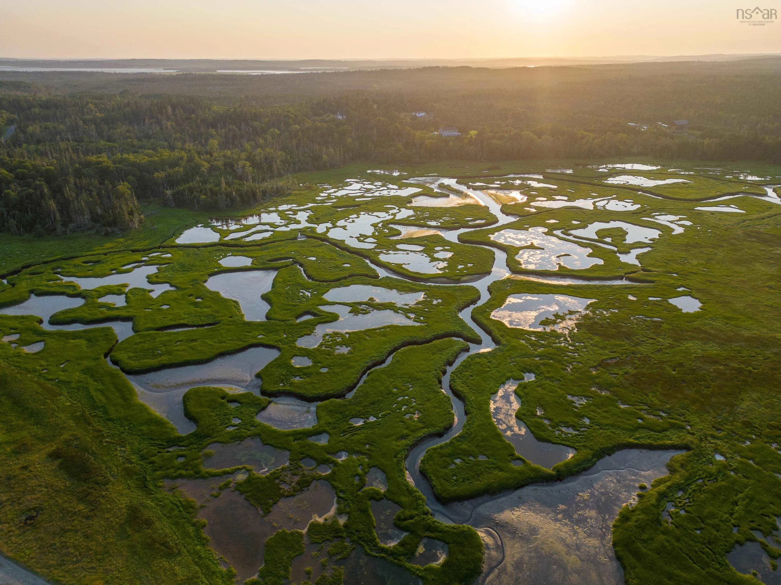 Lot 5 Conrod Beach Road, Lower East Chezzetcook, NS B0J 2L0, ,Land,For Sale,Conrod Beach,202511625