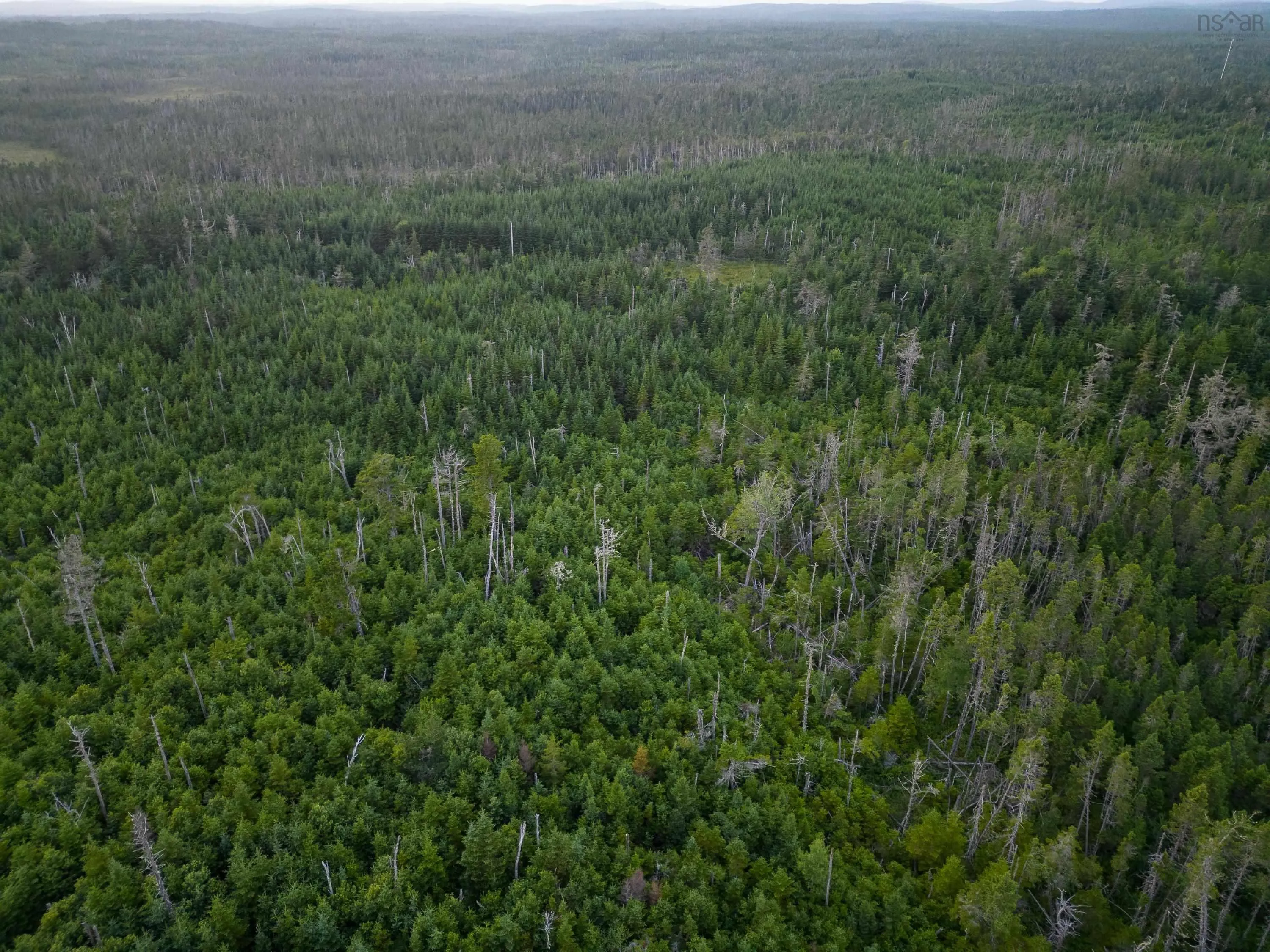Lot 5 Conrod Beach Road, Lower East Chezzetcook, NS B0J 2L0, ,Land,For Sale,Conrod Beach,202511625