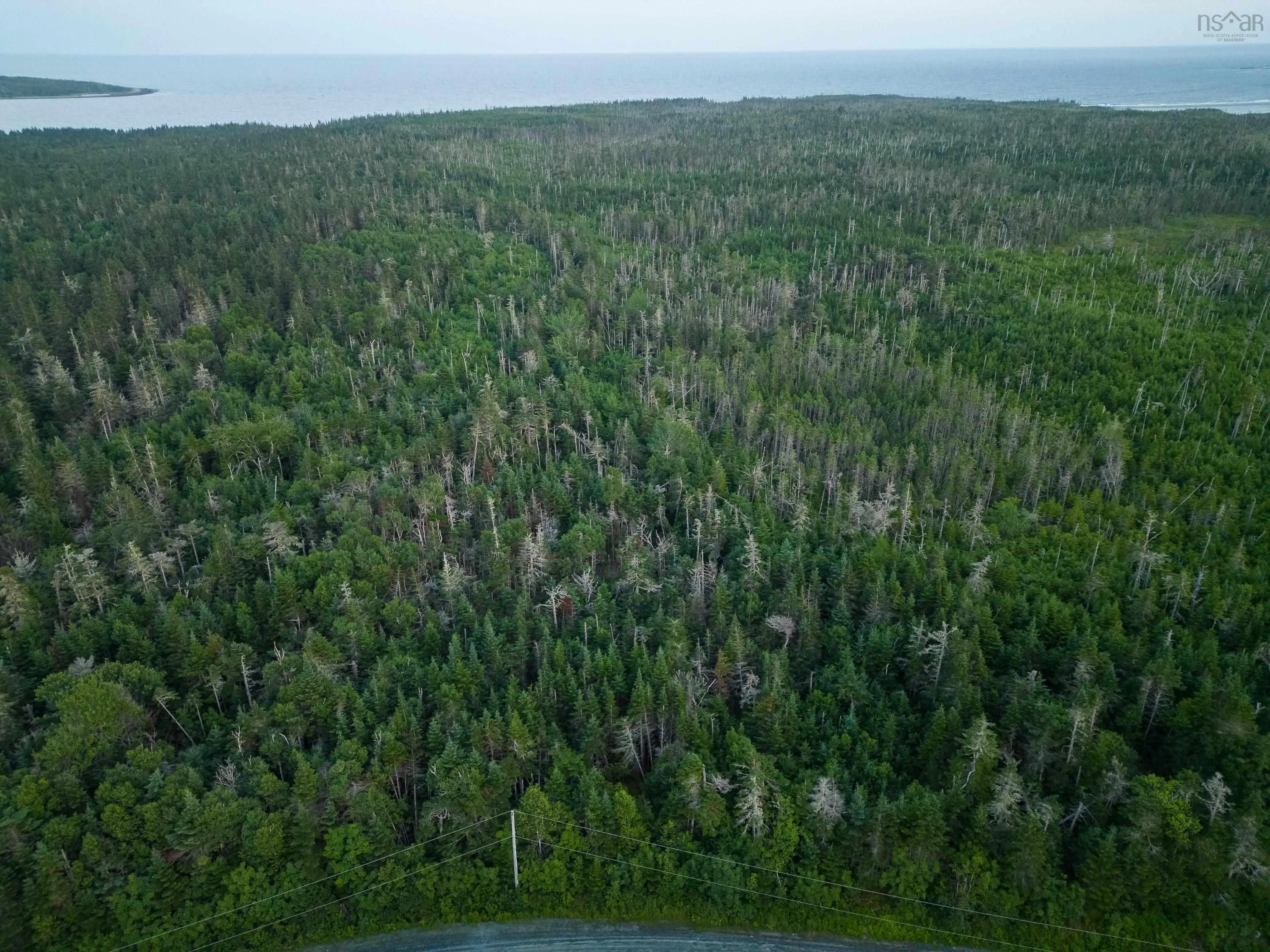 Lot 5 Conrod Beach Road, Lower East Chezzetcook, NS B0J 2L0, ,Land,For Sale,Conrod Beach,202511625