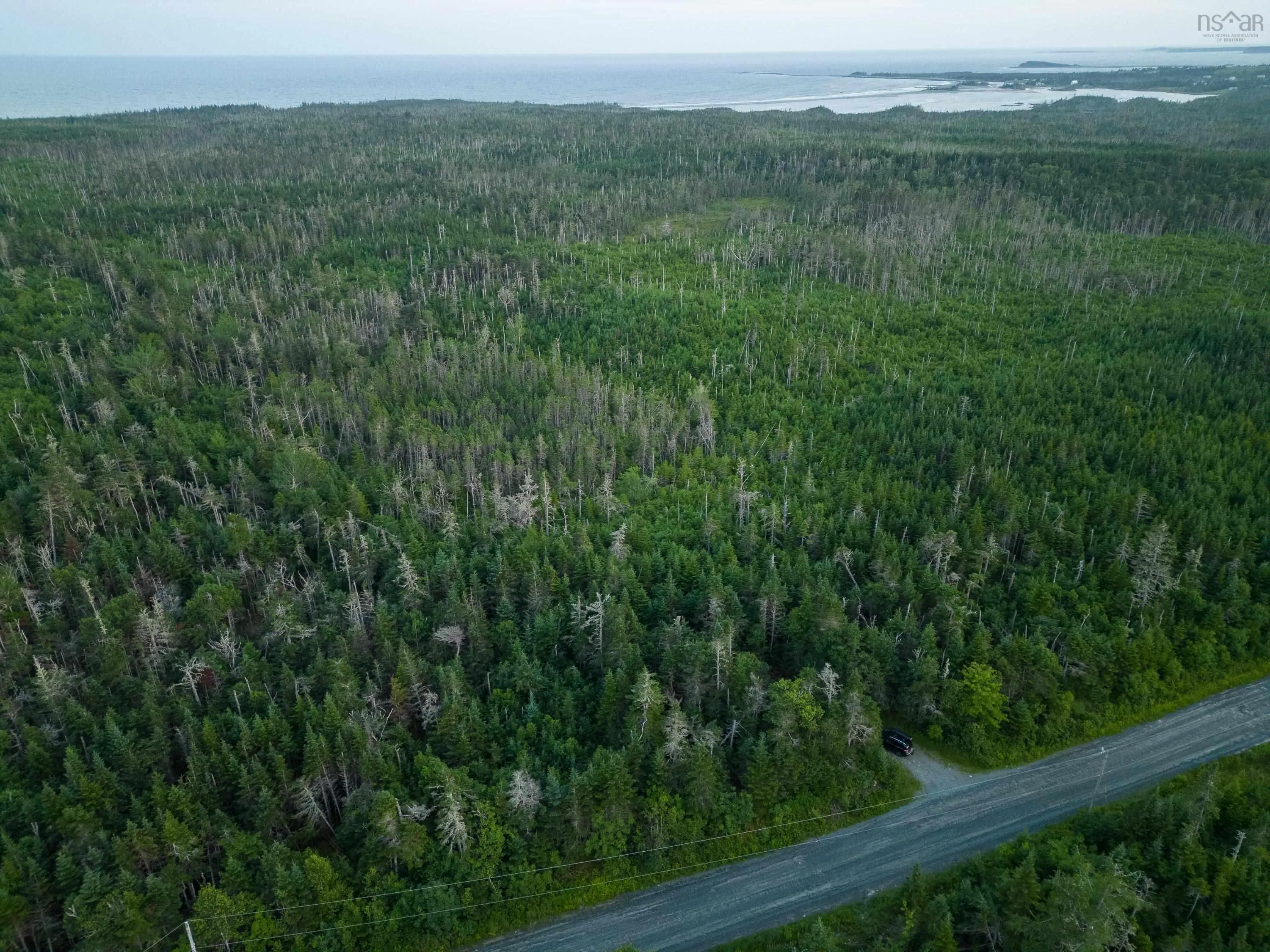 Lot 5 Conrod Beach Road, Lower East Chezzetcook, NS B0J 2L0, ,Land,For Sale,Conrod Beach,202511625