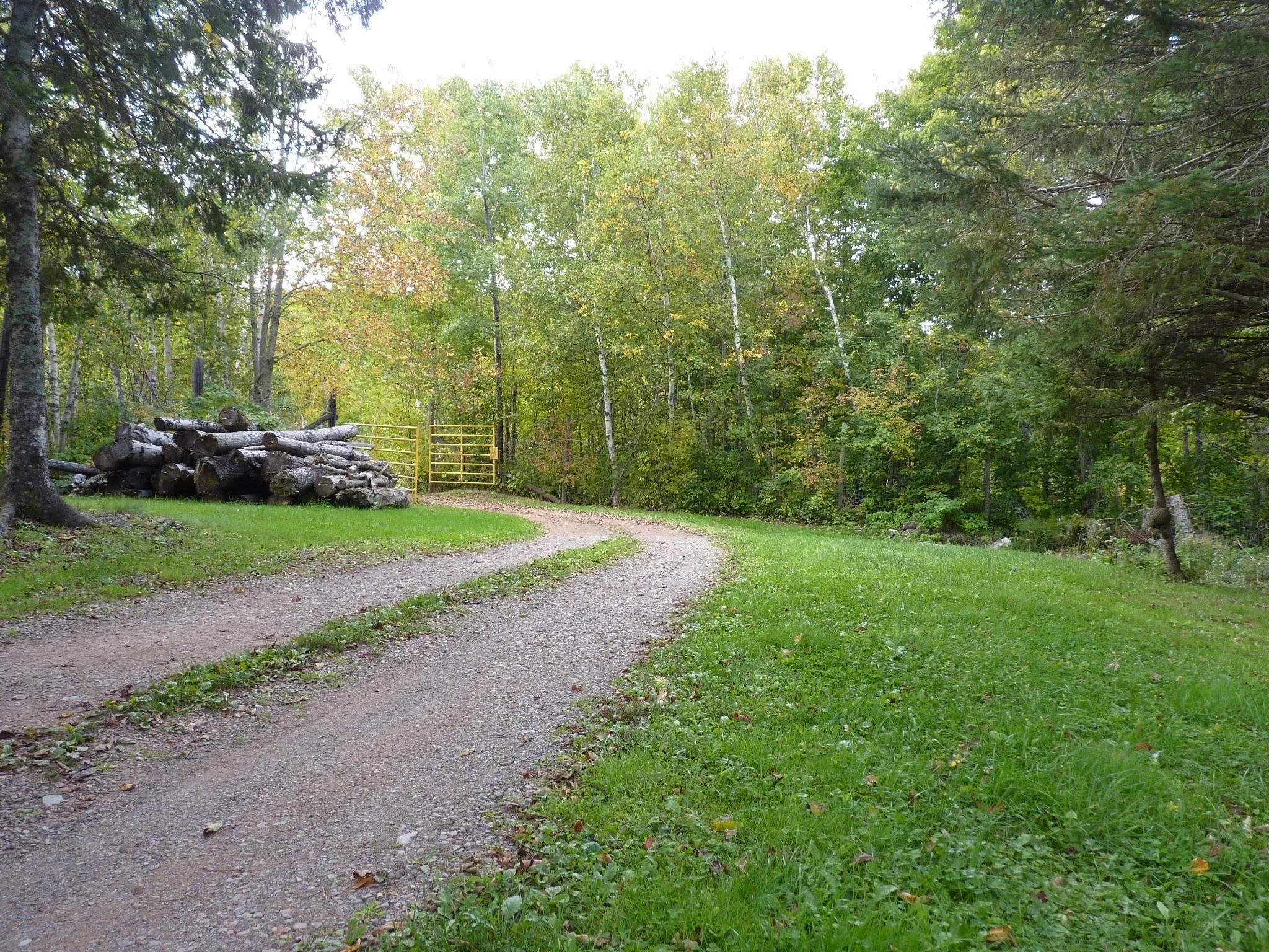 71 Gil Sutherland Road, Balmoral Mills Ns B0k 1v0, 2 Bedrooms Bedrooms, ,2 BathroomsBathrooms,Residential,For Sale,Gil Sutherland,202507051