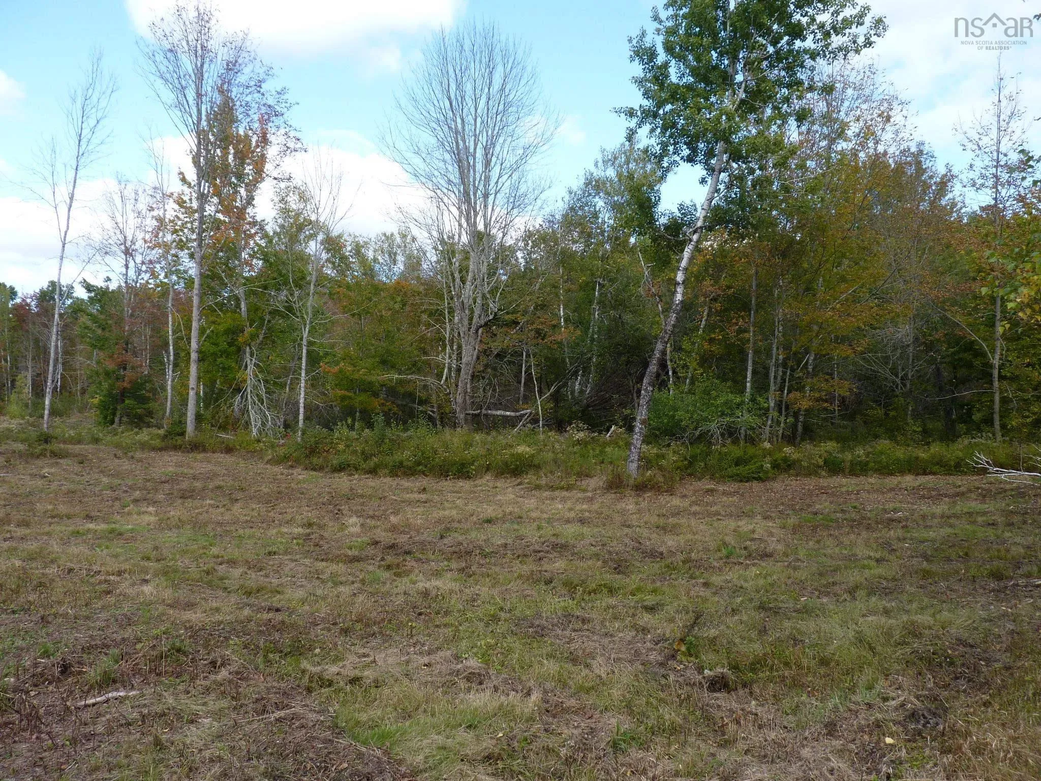 71 Gil Sutherland Road, Balmoral Mills Ns B0k 1v0, 2 Bedrooms Bedrooms, ,2 BathroomsBathrooms,Residential,For Sale,Gil Sutherland,202507051
