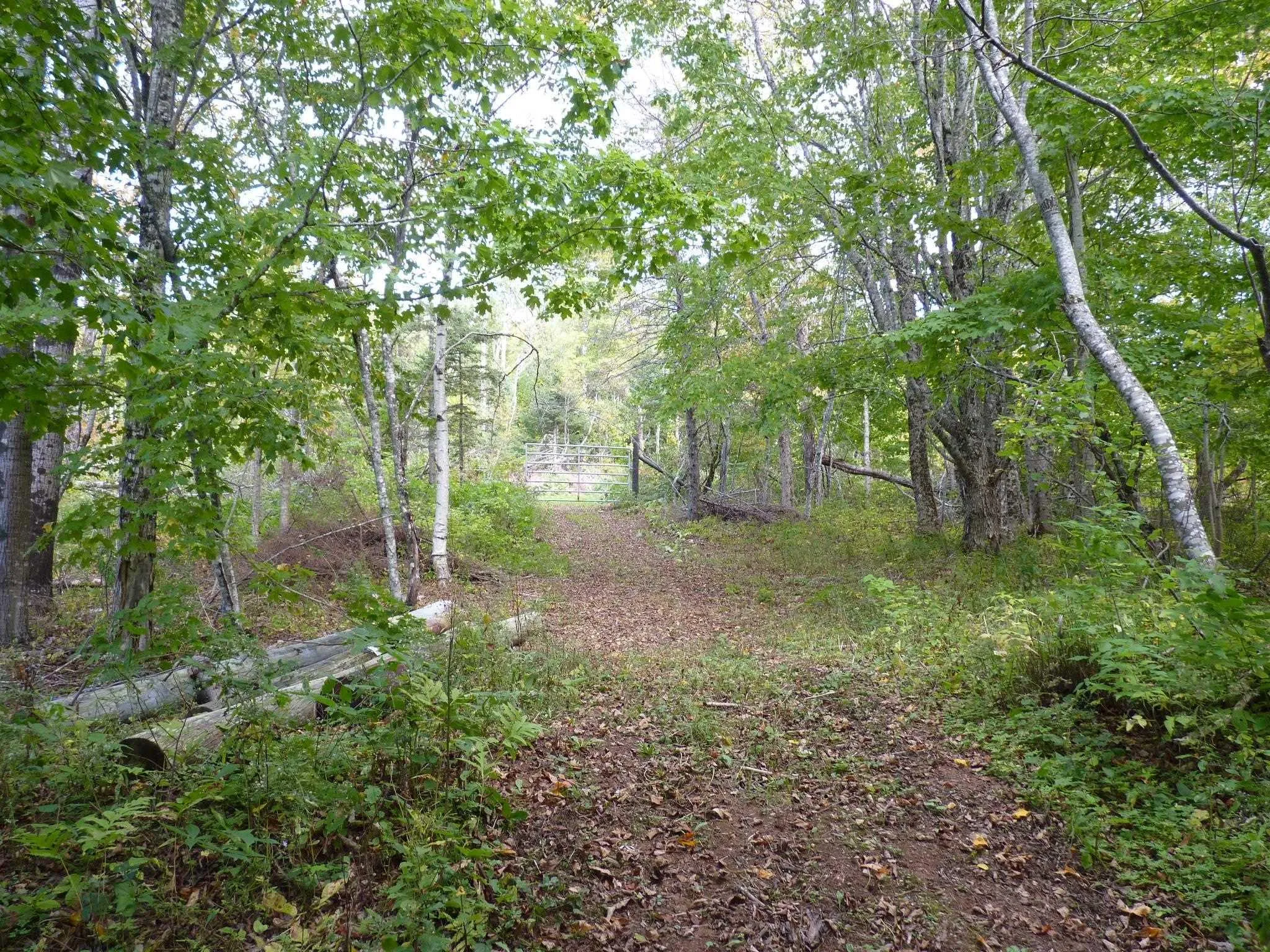 71 Gil Sutherland Road, Balmoral Mills Ns B0k 1v0, 2 Bedrooms Bedrooms, ,2 BathroomsBathrooms,Residential,For Sale,Gil Sutherland,202507051