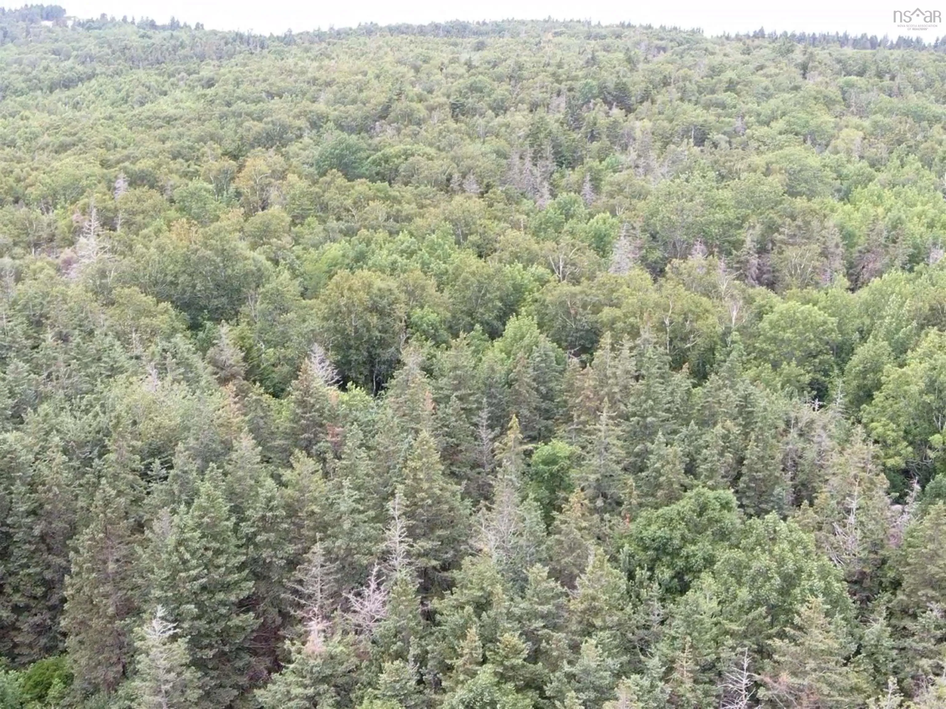 Lot Shore Road E, Hampton, NS B0S 1L0, ,Land,For Sale,Shore,202518755