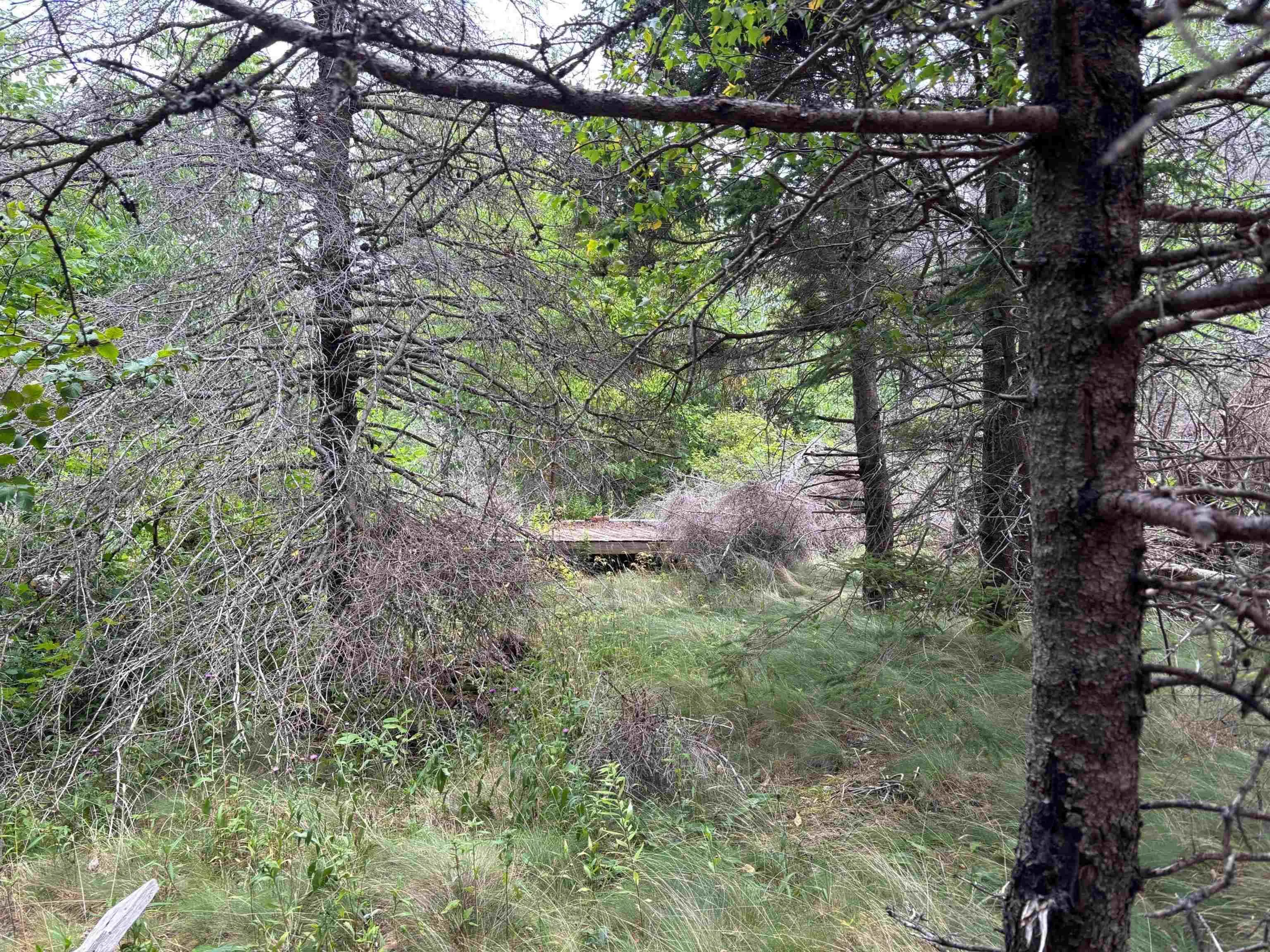 Lot Shore Road E, Hampton, NS B0S 1L0, ,Land,For Sale,Shore,202518755