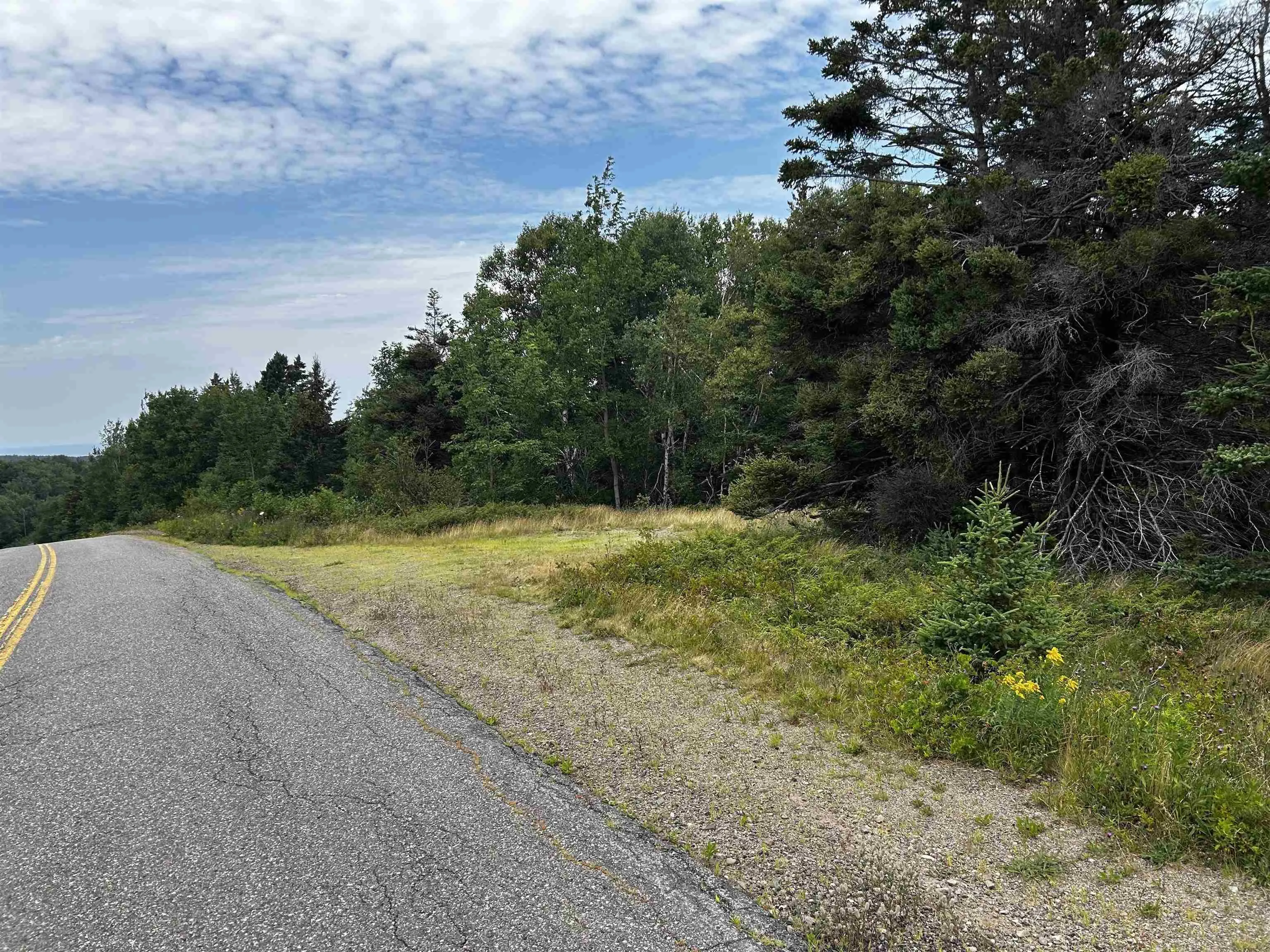 Lot Shore Road E, Hampton, NS B0S 1L0, ,Land,For Sale,Shore,202518755