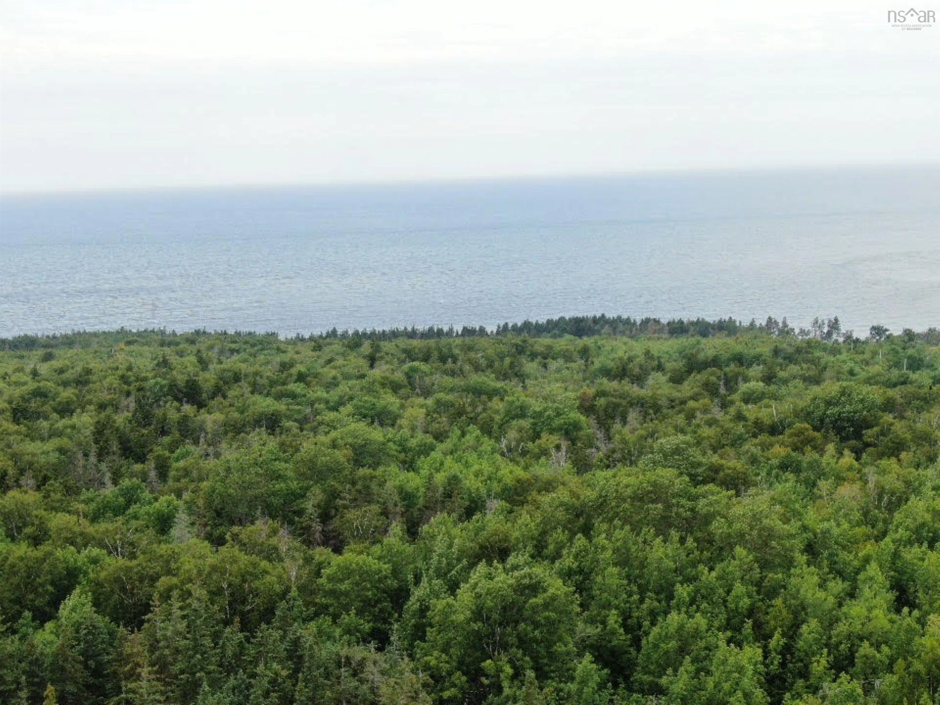 Lot Shore Road E, Hampton, NS B0S 1L0, ,Land,For Sale,Shore,202518755