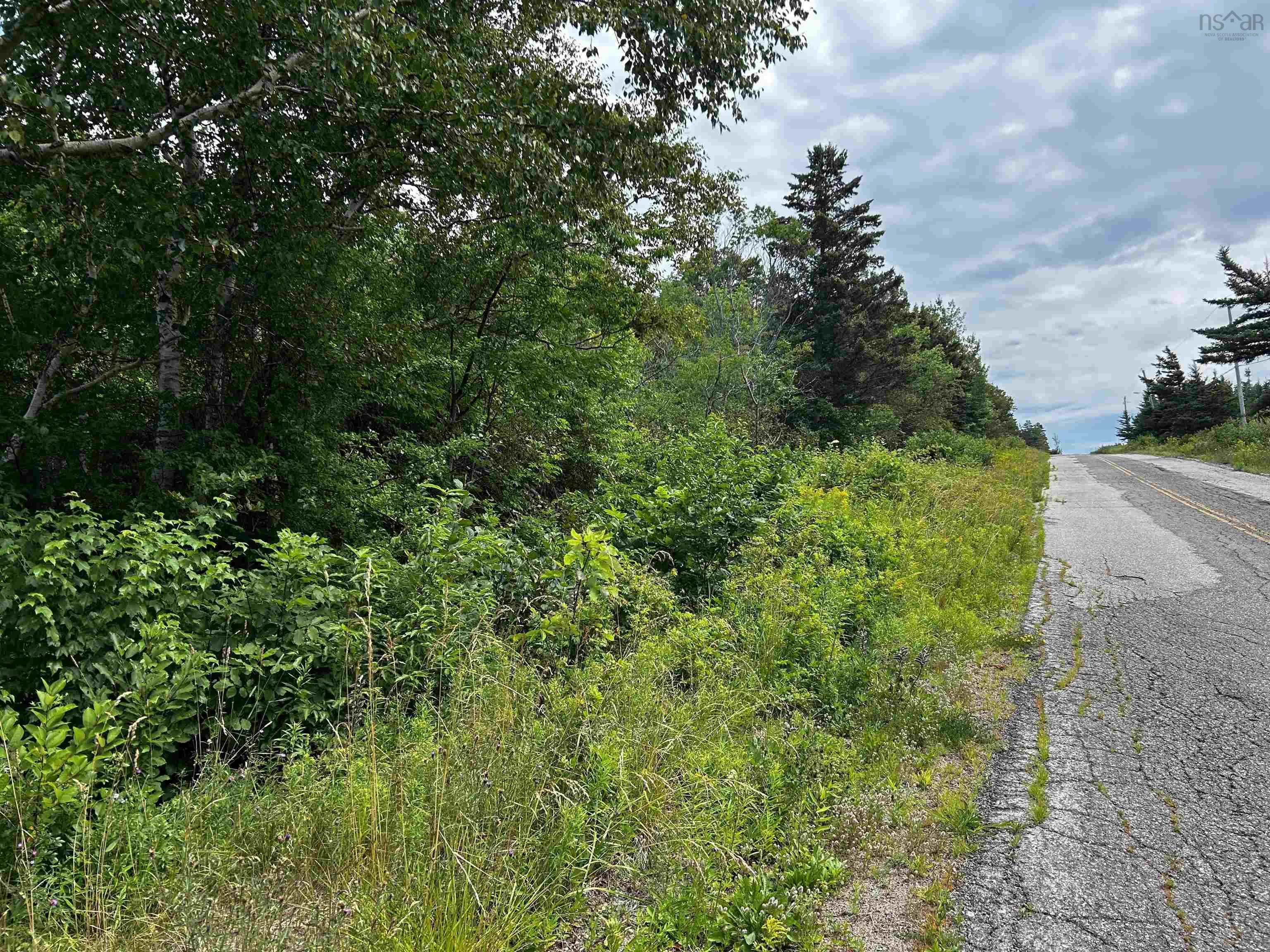 Lot Shore Road E, Hampton, NS B0S 1L0, ,Land,For Sale,Shore,202518755