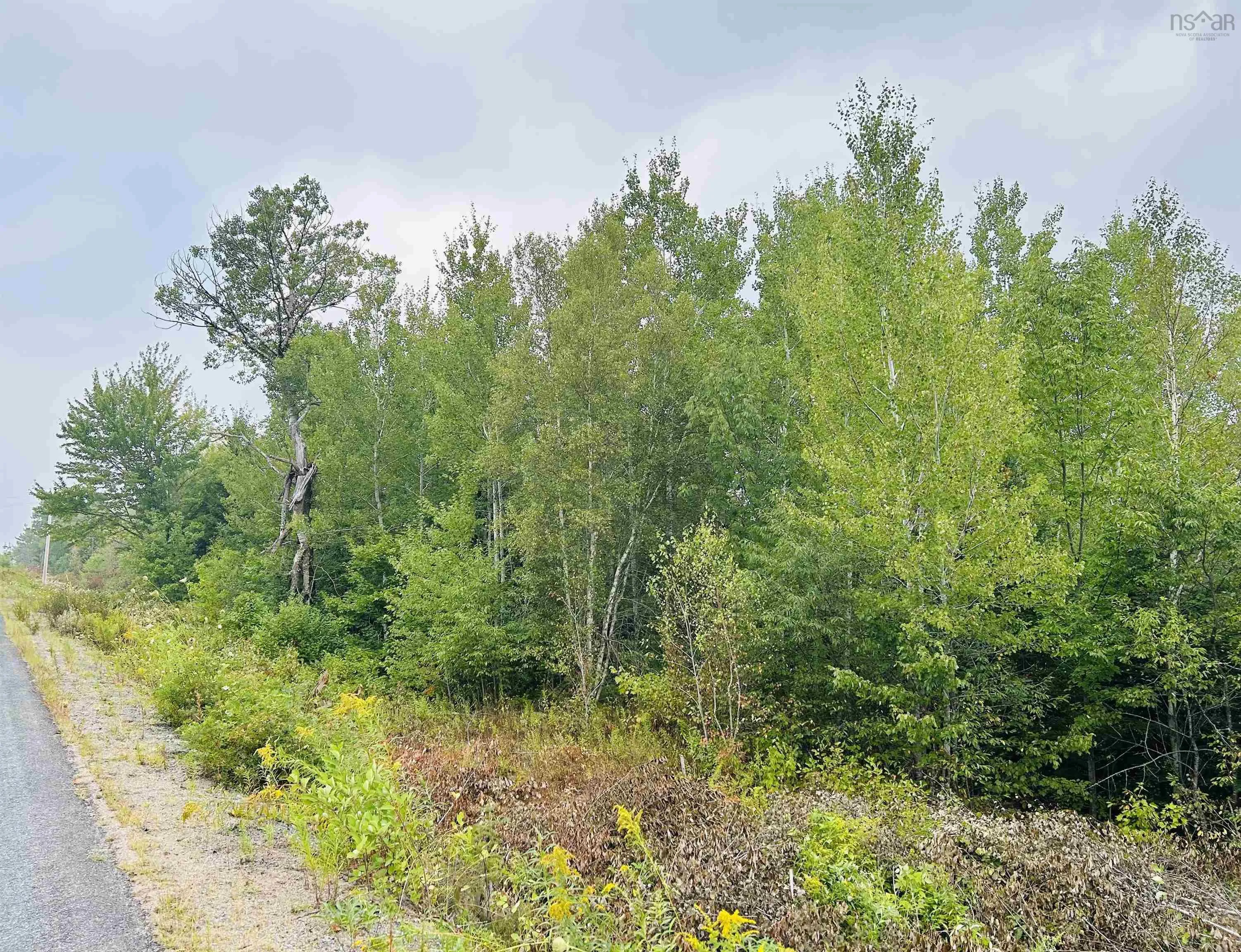 Lot Alpena Road, East Inglisville, NS B0S 1M0, ,Land,For Sale,Alpena,202521742