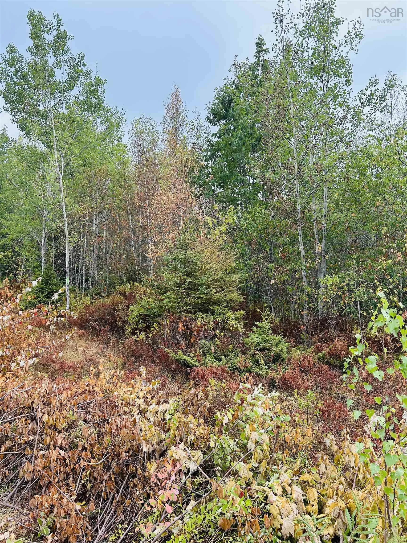 Lot Alpena Road, East Inglisville, NS B0S 1M0, ,Land,For Sale,Alpena,202521742