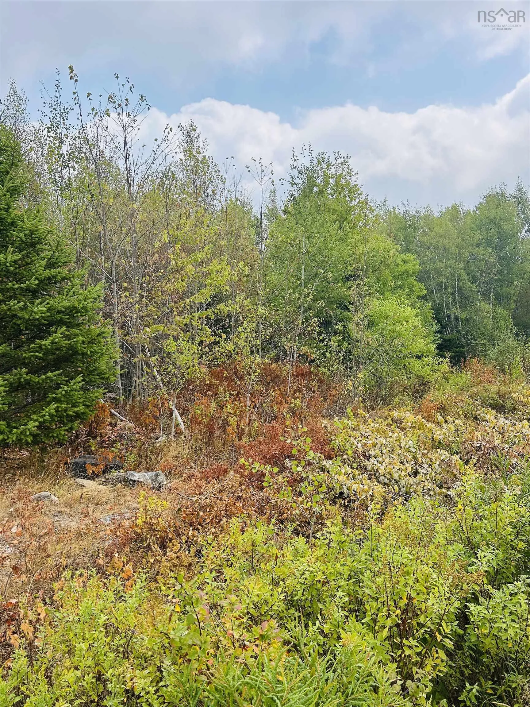 Lot Alpena Road, East Inglisville, NS B0S 1M0, ,Land,For Sale,Alpena,202521742