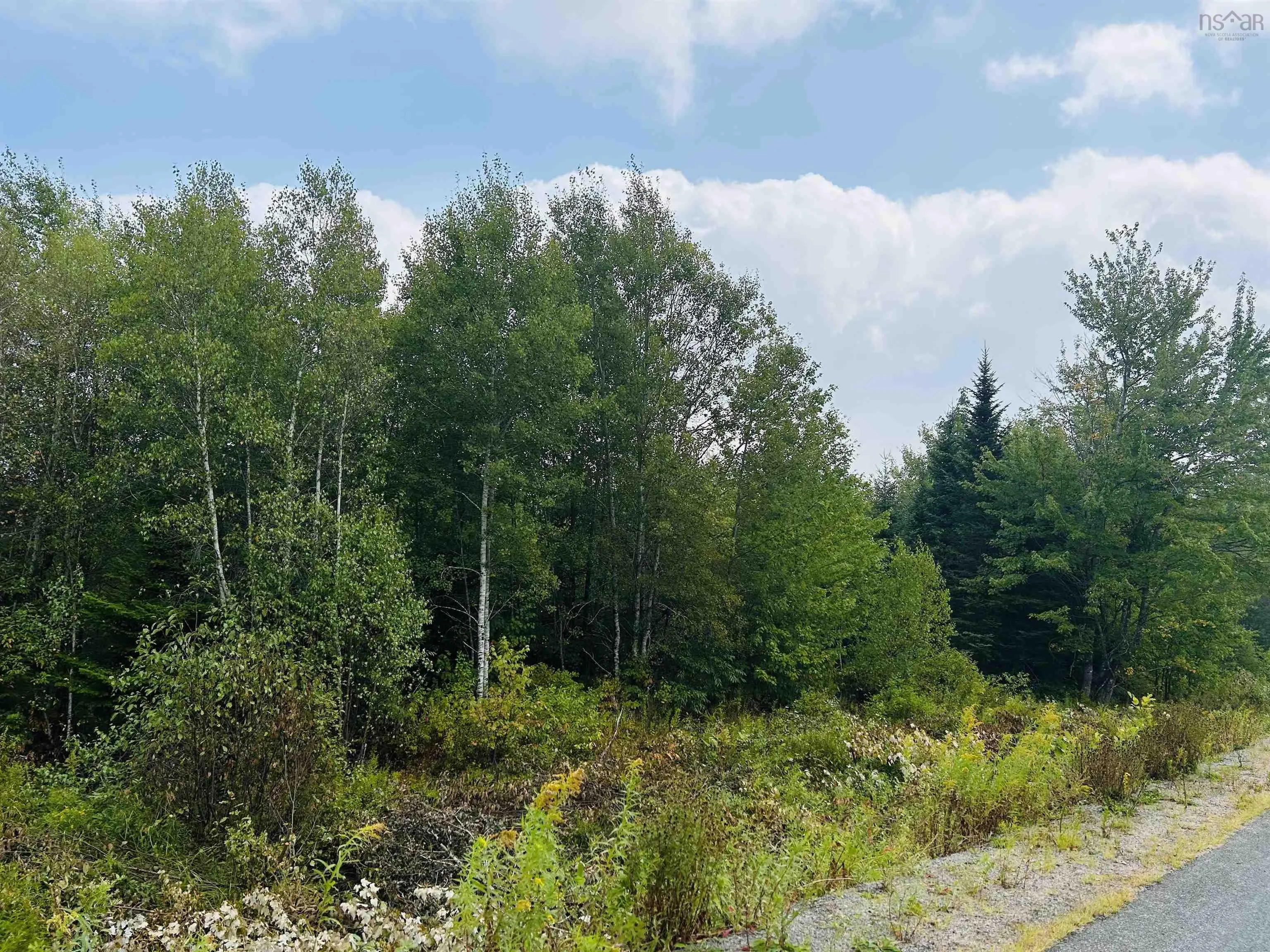 Lot Alpena Road, East Inglisville, NS B0S 1M0, ,Land,For Sale,Alpena,202521742