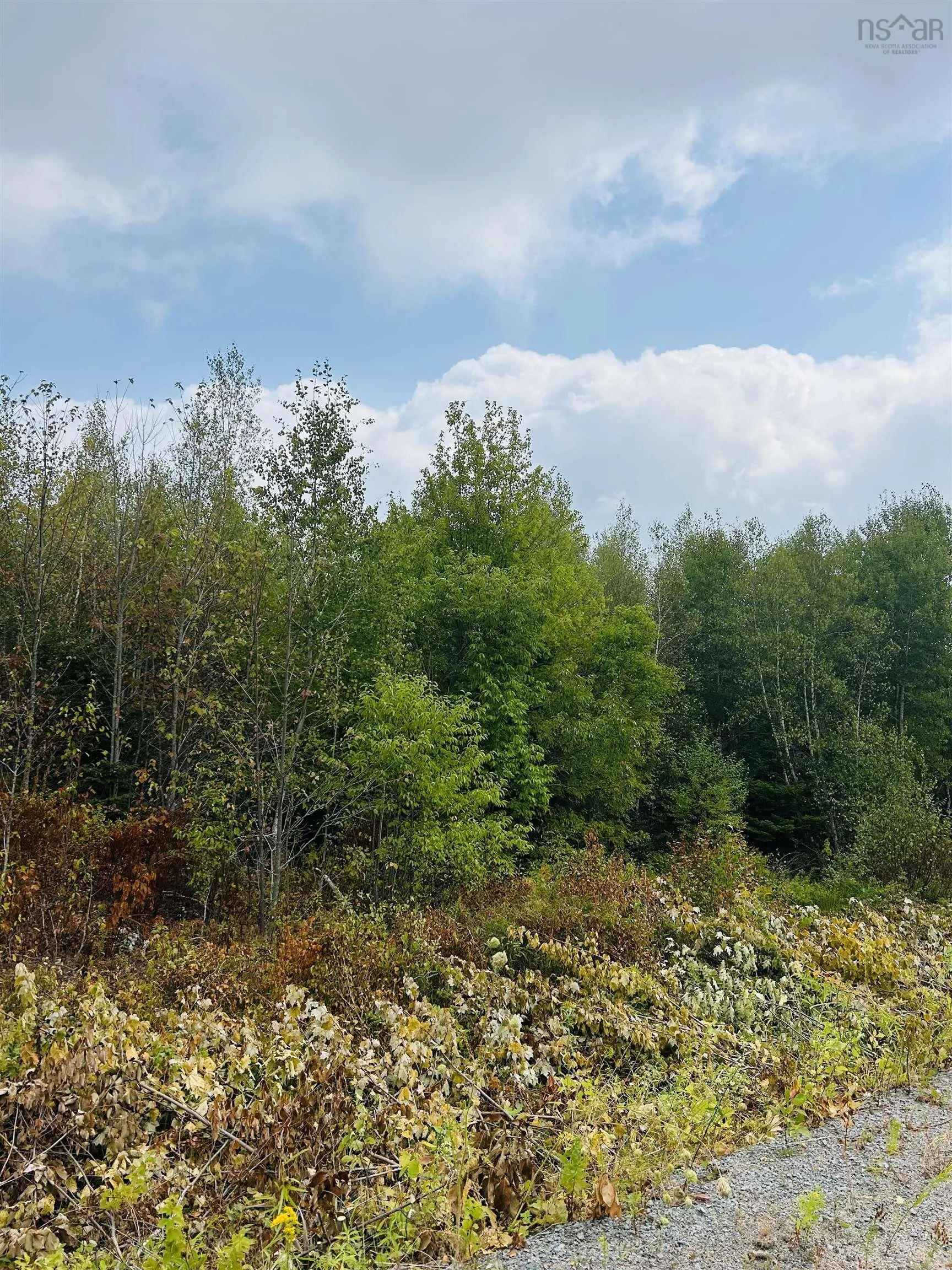 Lot Alpena Road, East Inglisville, NS B0S 1M0, ,Land,For Sale,Alpena,202521742