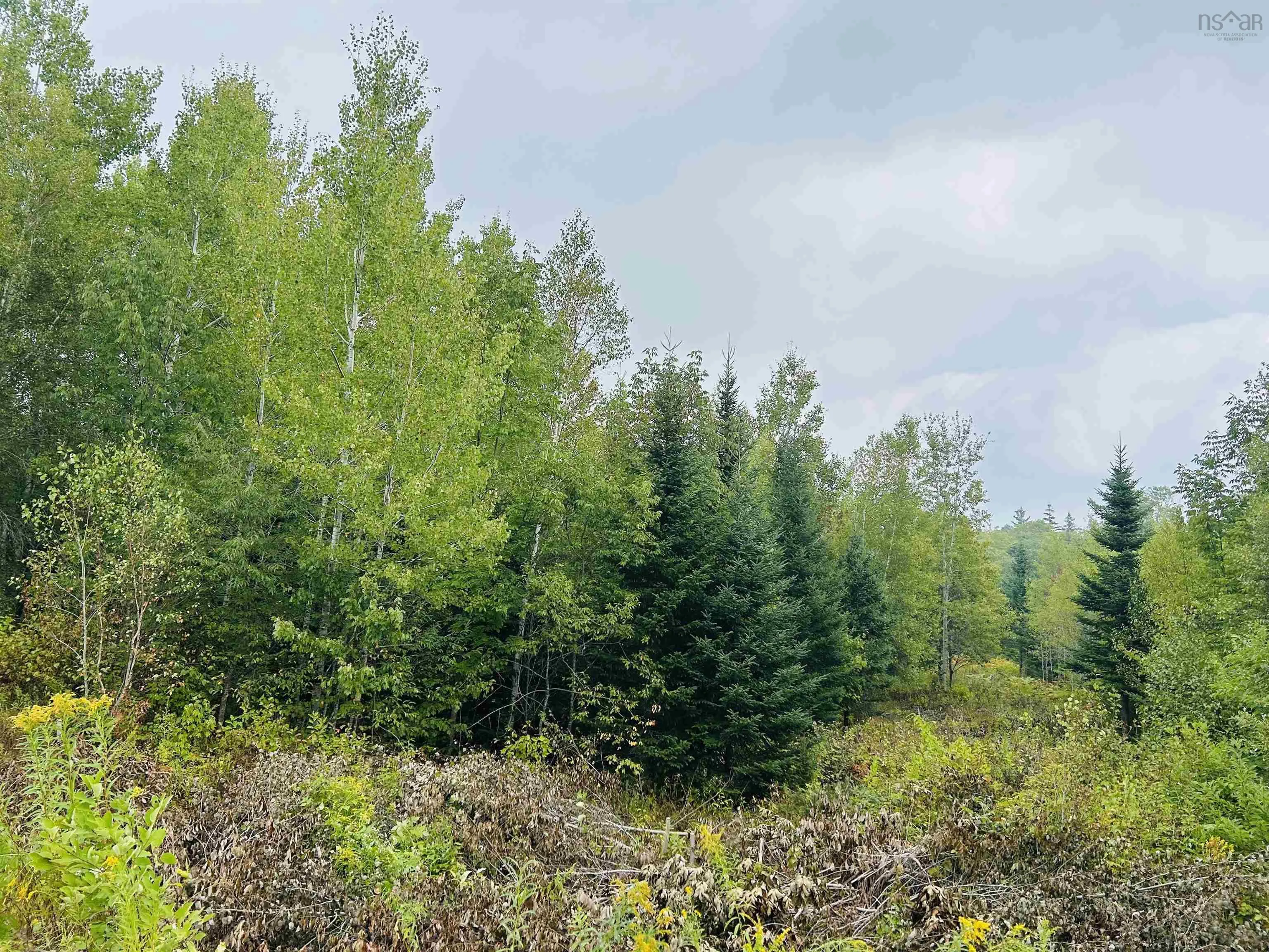 Lot Alpena Road, East Inglisville, NS B0S 1M0, ,Land,For Sale,Alpena,202521742