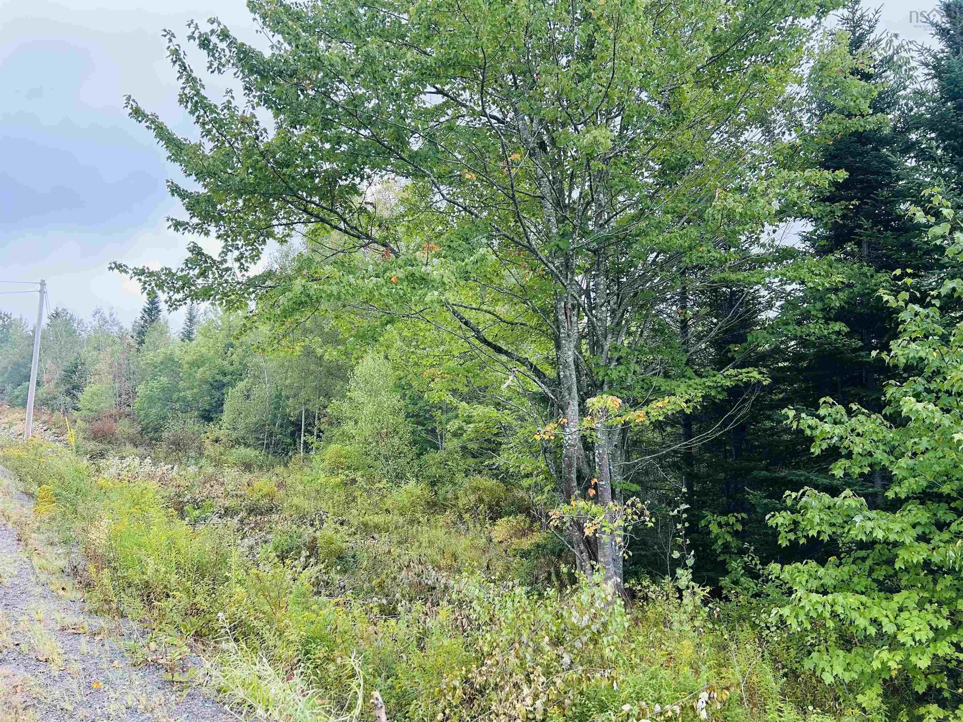 Lot Alpena Road, East Inglisville, NS B0S 1M0, ,Land,For Sale,Alpena,202521742