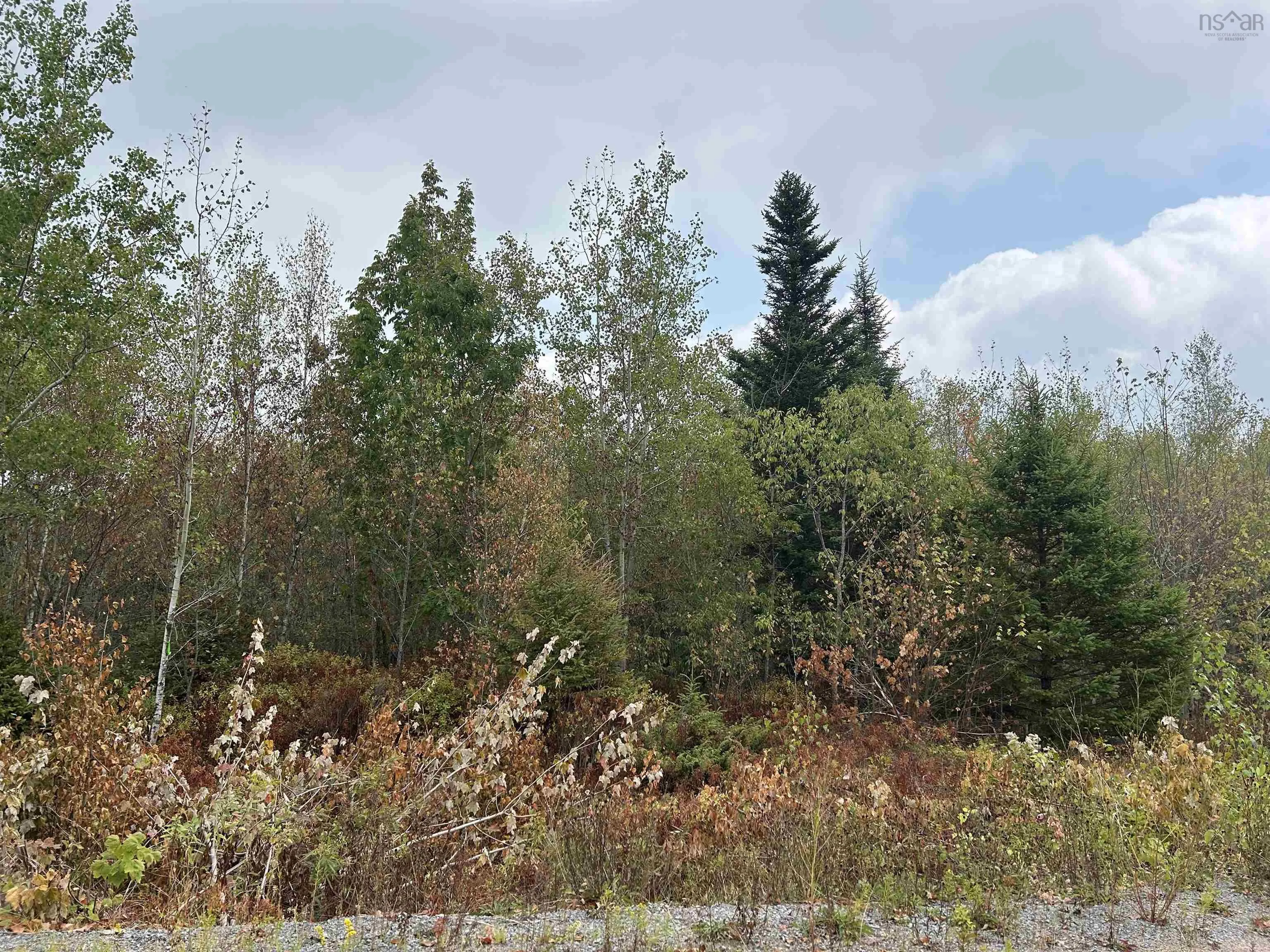 Lot Alpena Road, East Inglisville, NS B0S 1M0, ,Land,For Sale,Alpena,202521742