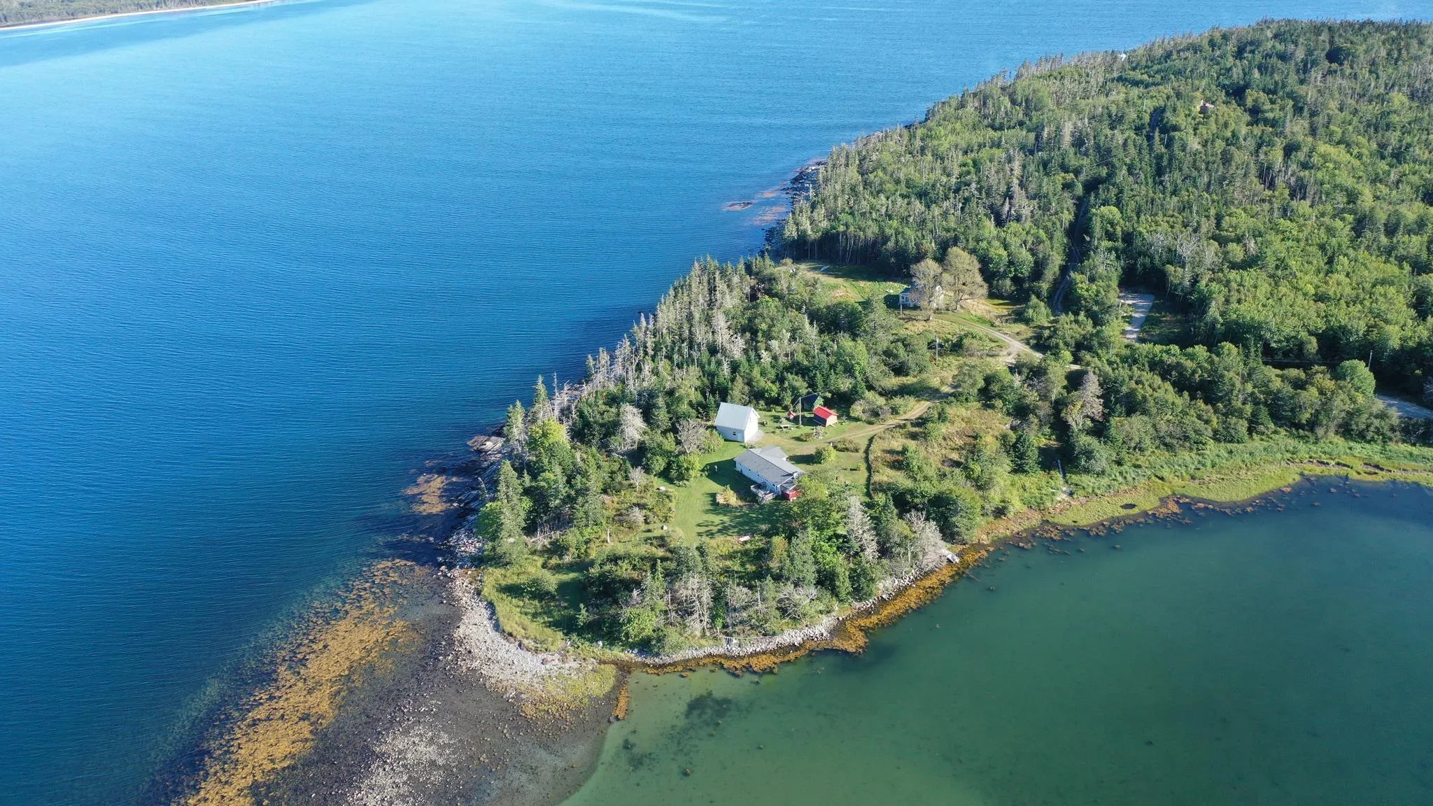 93 Sperry Road, West Green Harbour, NS B0T 1L0, 2 Bedrooms Bedrooms, ,1 BathroomBathrooms,Residential,For Sale,Sperry,202421100