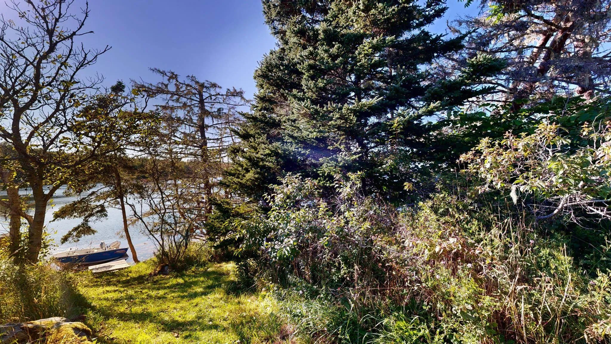 93 Sperry Road, West Green Harbour, NS B0T 1L0, 2 Bedrooms Bedrooms, ,1 BathroomBathrooms,Residential,For Sale,Sperry,202421100