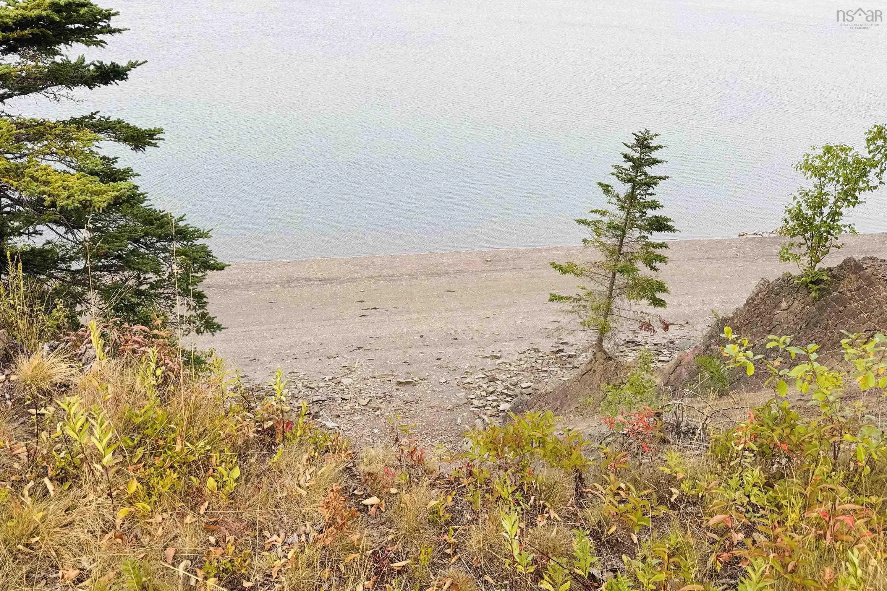 Whitehall Road, Parrsboro, NS B0M 1S0, ,Land,For Sale,Whitehall,202519796