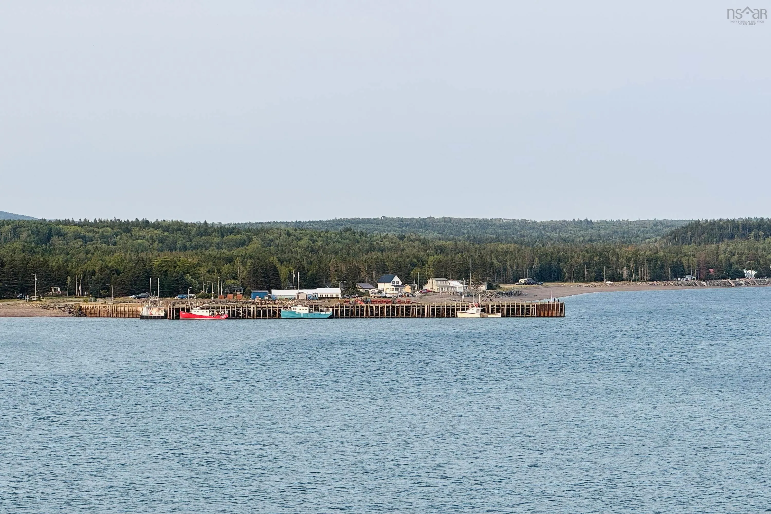 Whitehall Road, Parrsboro, NS B0M 1S0, ,Land,For Sale,Whitehall,202519796