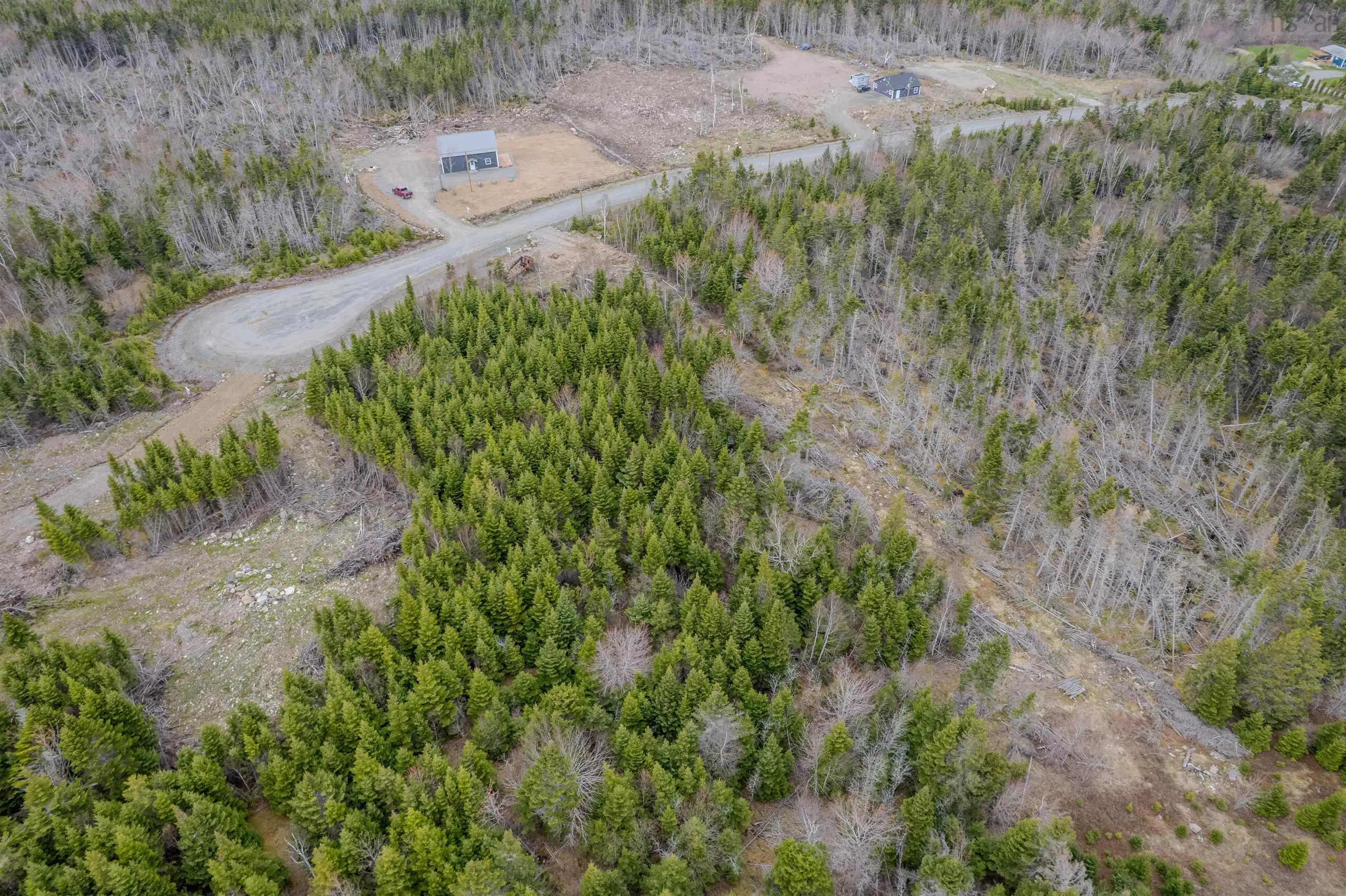 Lot 8 Brewer Drive, Mira Gut, NS B1K 2W4, ,Land,For Sale,Brewer,202520863