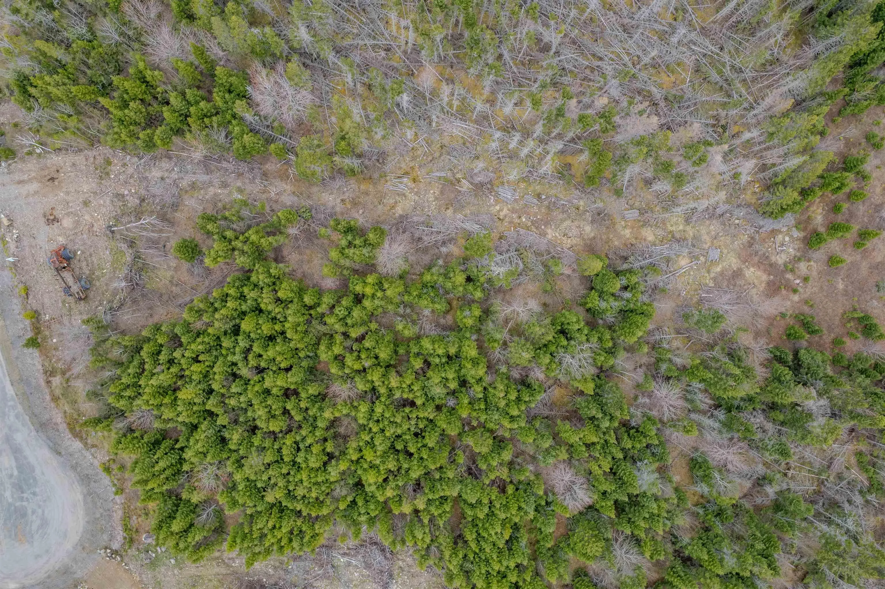 Lot 8 Brewer Drive, Mira Gut, NS B1K 2W4, ,Land,For Sale,Brewer,202520863