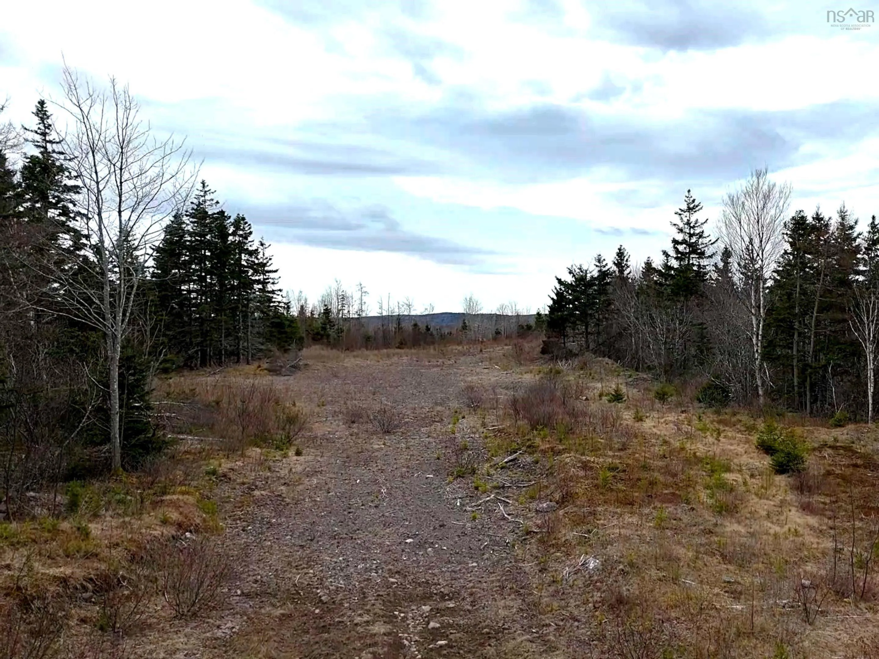 Louisbourg Highway, Catalone Ns B1c 2e6, ,Land,For Sale,Louisbourg,202510872