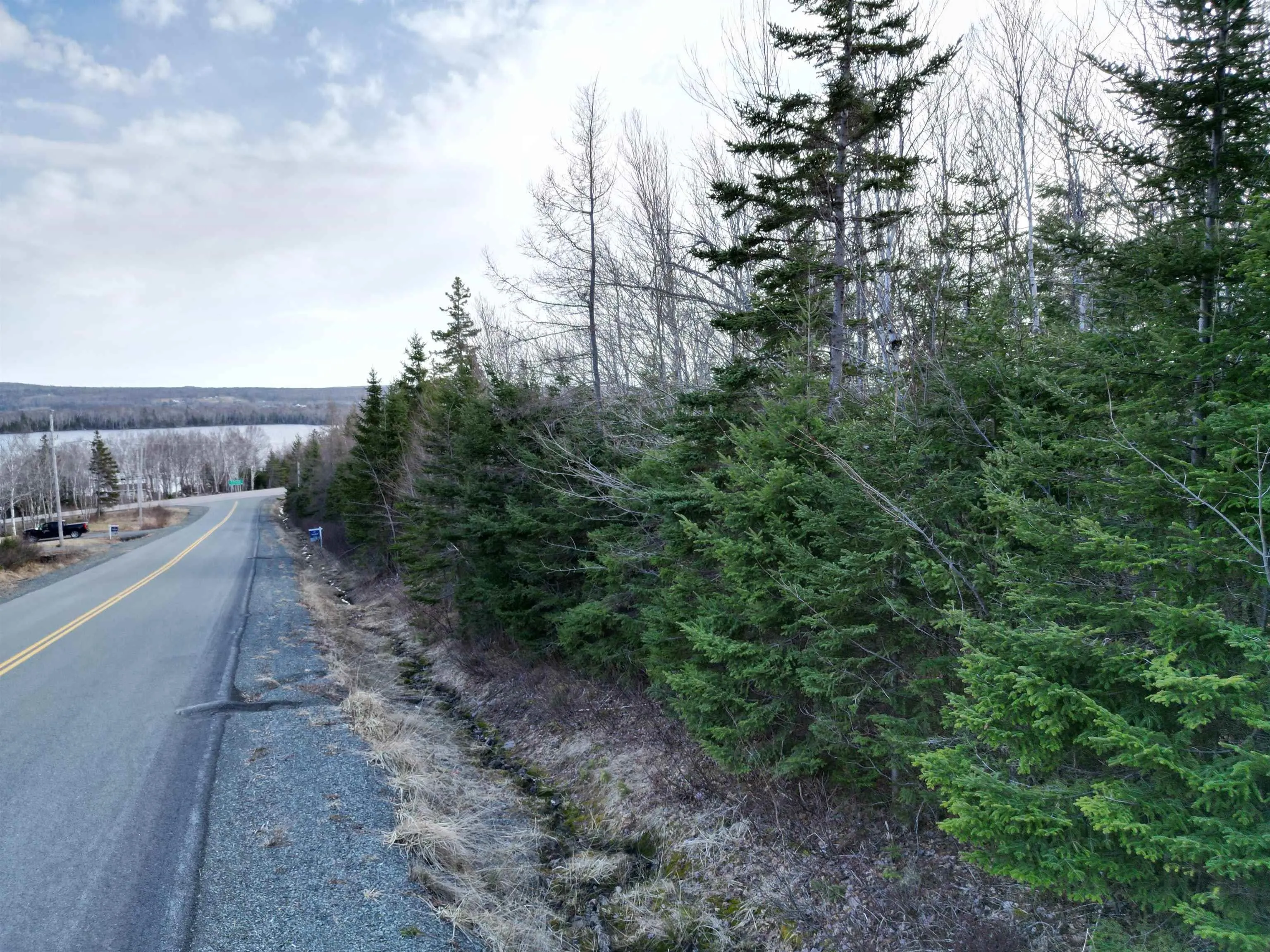 Caribou Marsh Road, Albert Bridge Ns B1k 0c4, ,Land,For Sale,Caribou Marsh Road,202505436