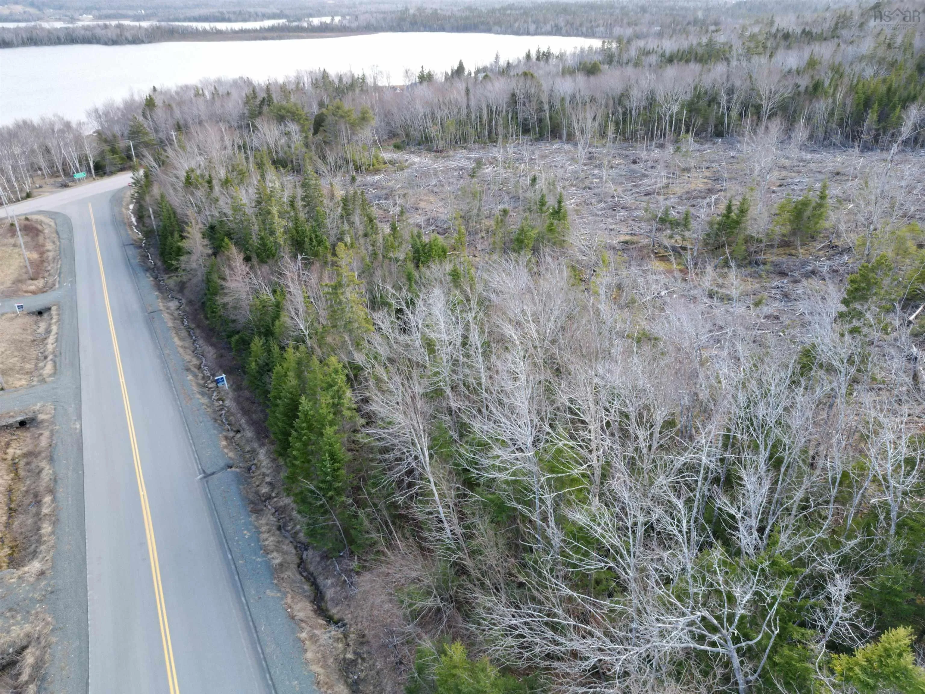 Caribou Marsh Road, Albert Bridge Ns B1k 0c4, ,Land,For Sale,Caribou Marsh Road,202505436
