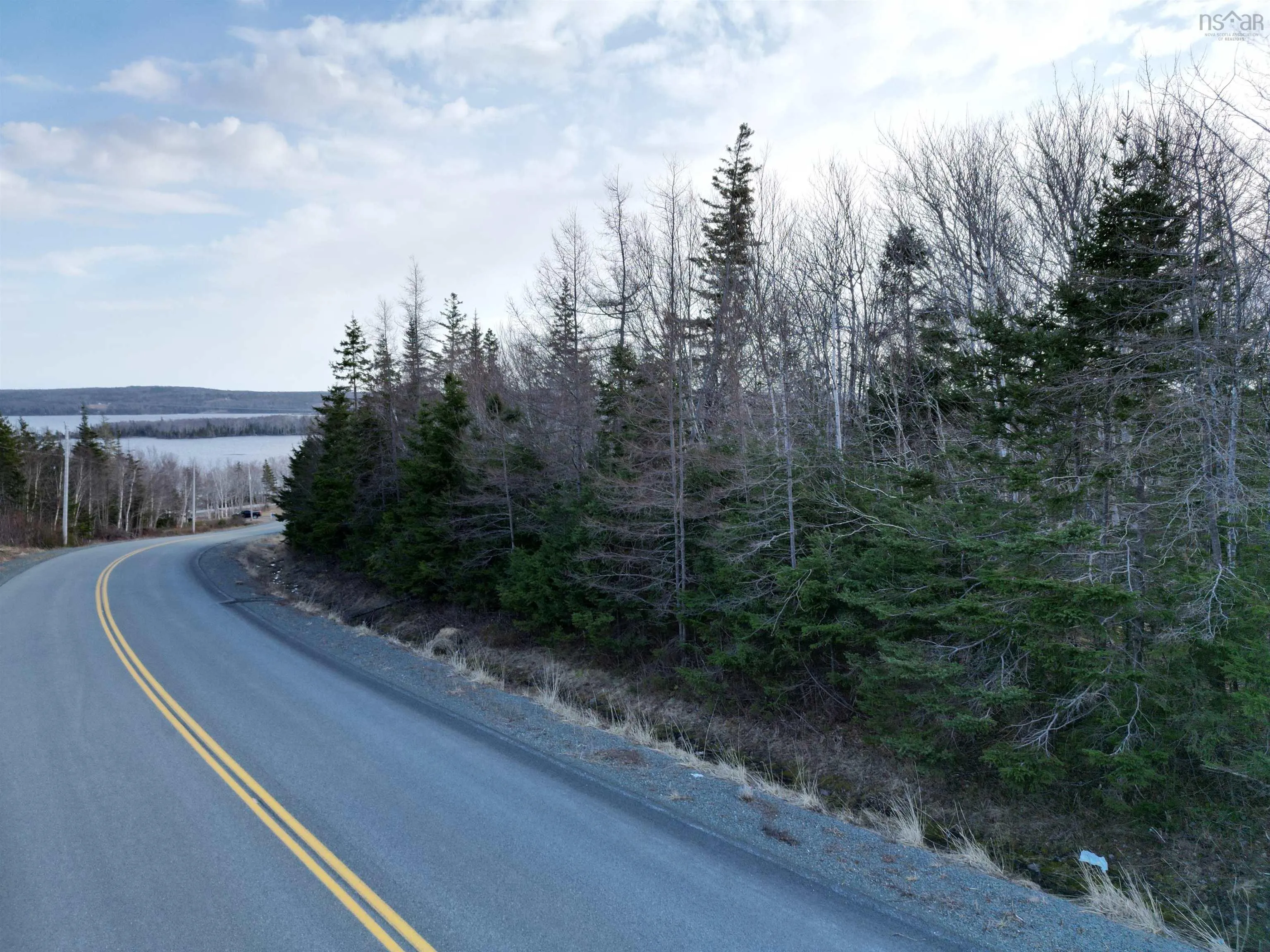 Caribou Marsh Road, Albert Bridge Ns B1k 0c4, ,Land,For Sale,Caribou Marsh Road,202505436