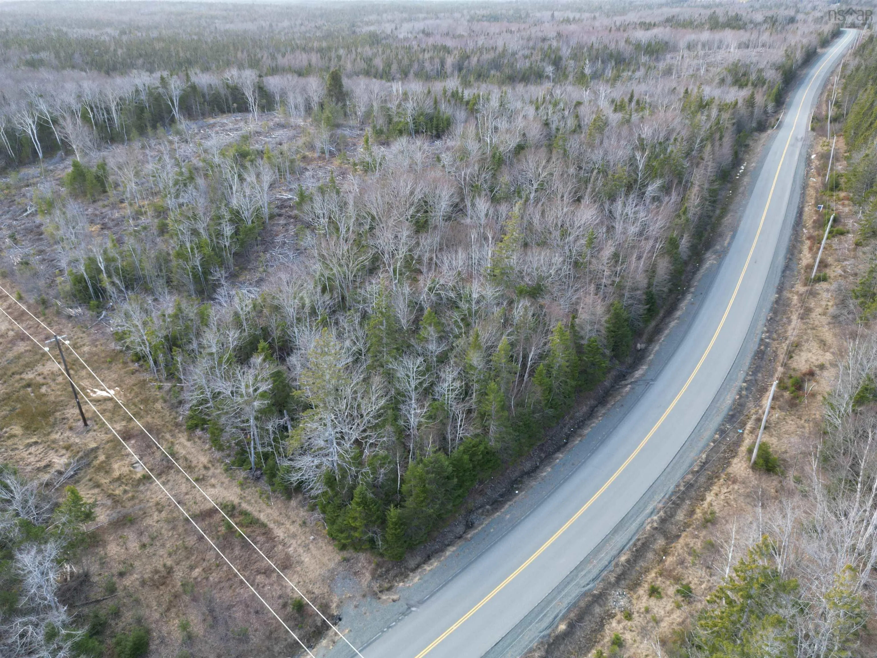 Caribou Marsh Road, Albert Bridge Ns B1k 0c4, ,Land,For Sale,Caribou Marsh Road,202505436