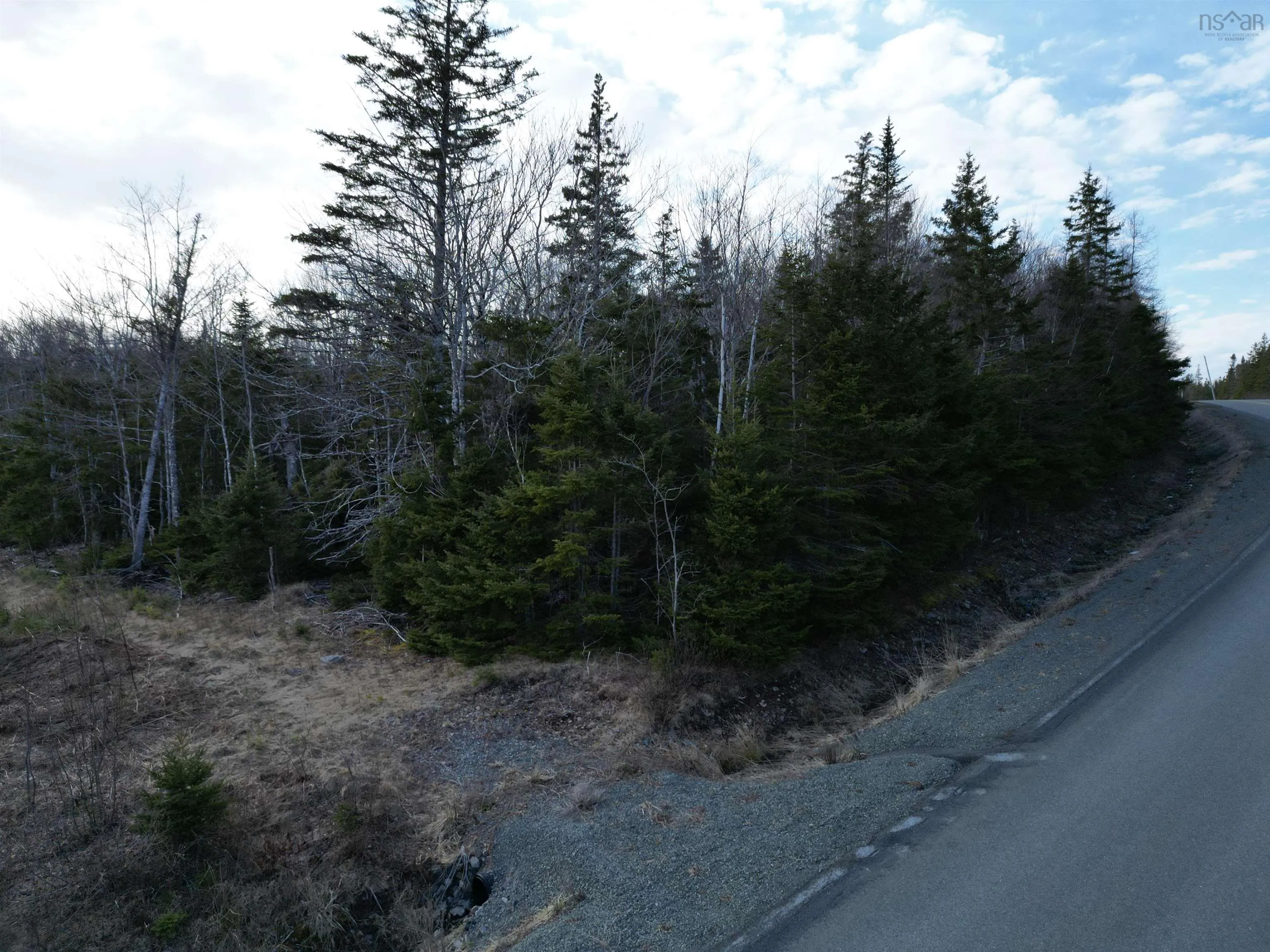 Caribou Marsh Road, Albert Bridge Ns B1k 0c4, ,Land,For Sale,Caribou Marsh Road,202505436