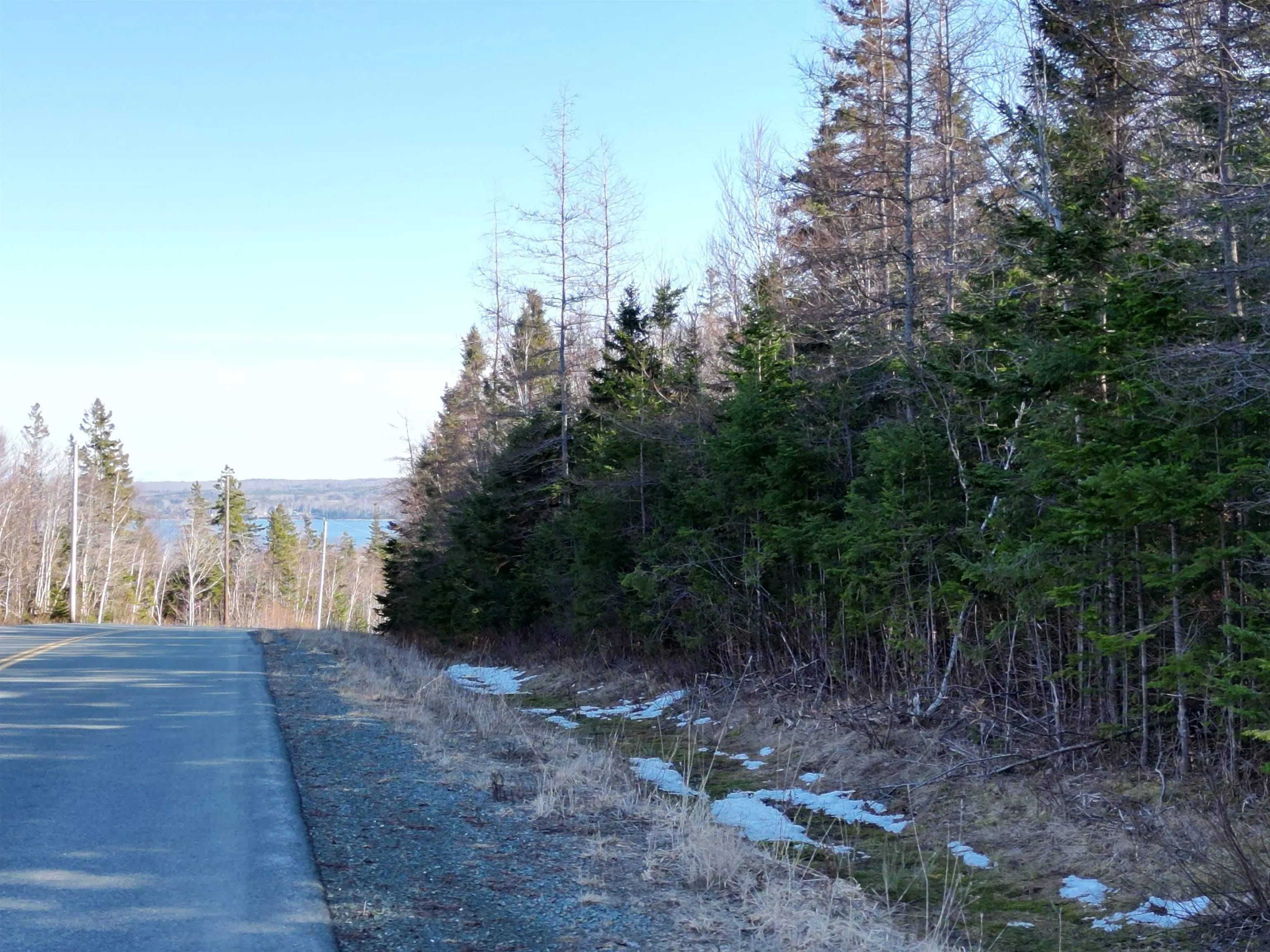 Caribou Marsh Road, Albert Bridge Ns B1k 0c4, ,Land,For Sale,Caribou Marsh Road,202505436