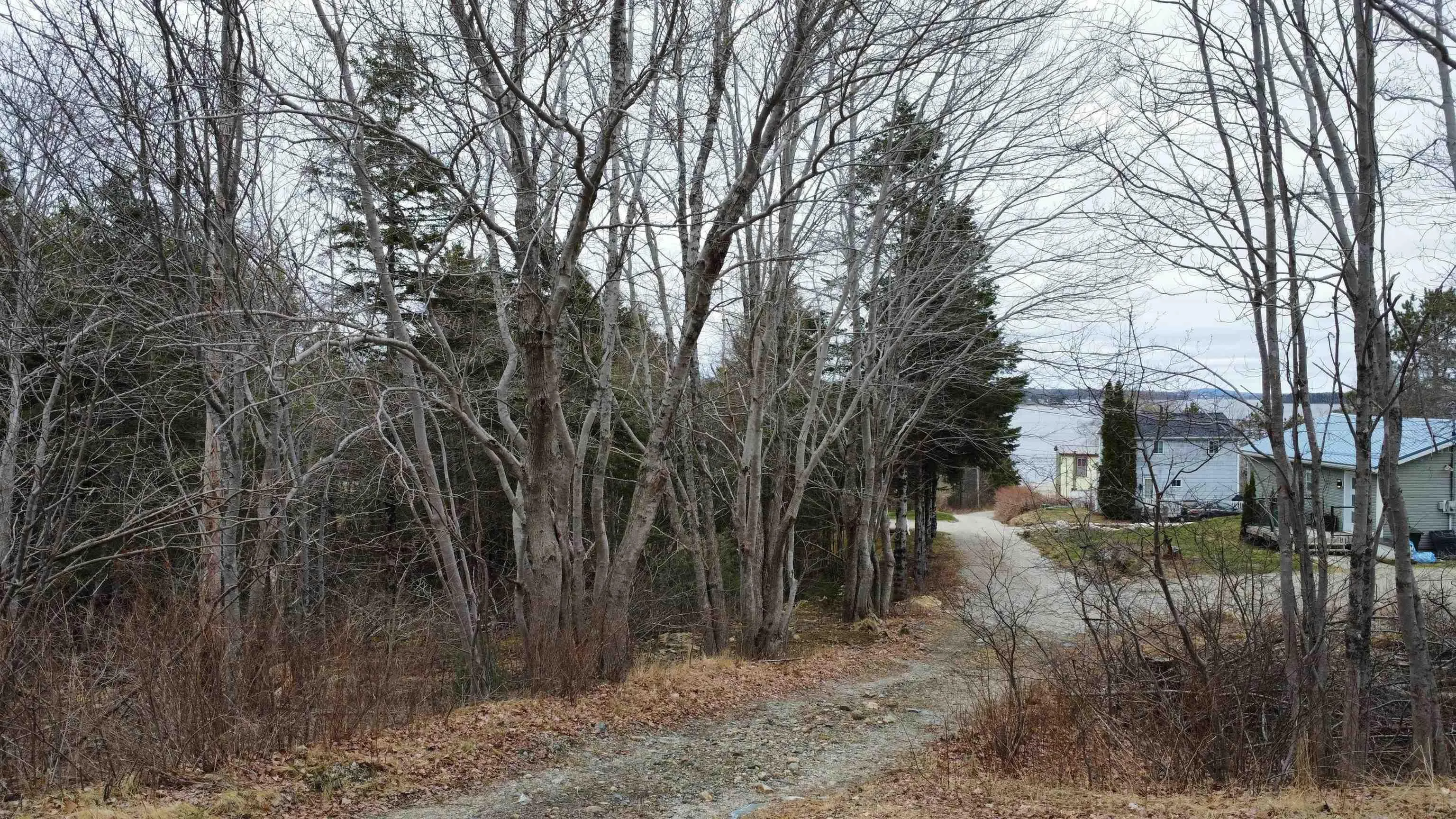52 Adelia Road, Gold River Ns B0j 1k0, ,Land,For Sale,Adelia,202507881