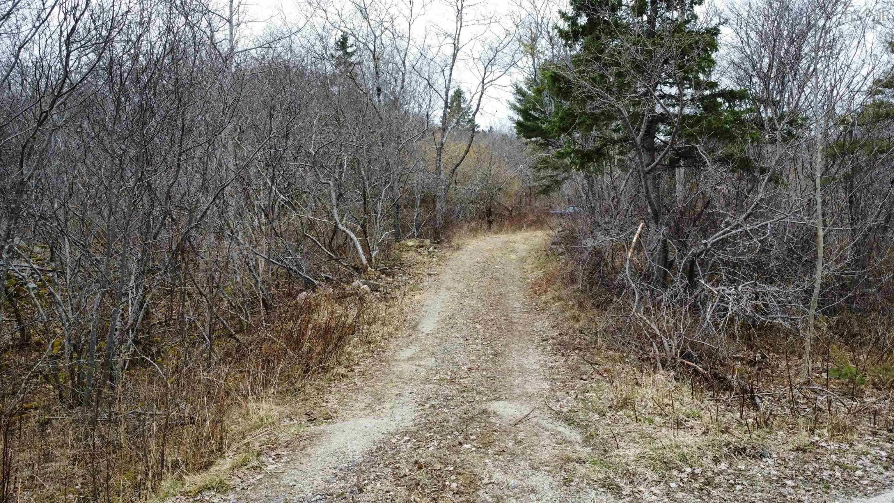 52 Adelia Road, Gold River Ns B0j 1k0, ,Land,For Sale,Adelia,202507881