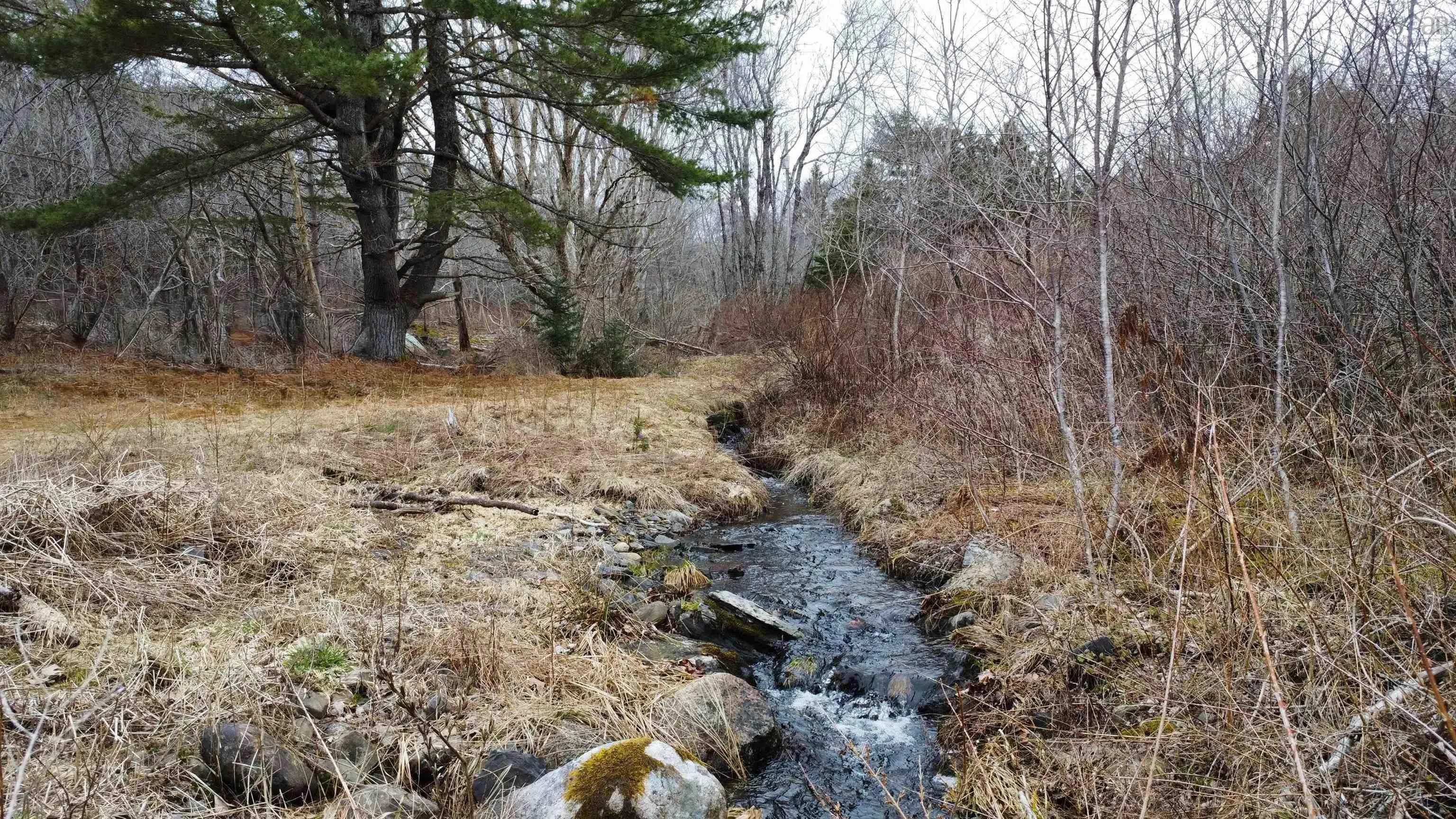 52 Adelia Road, Gold River Ns B0j 1k0, ,Land,For Sale,Adelia,202507881