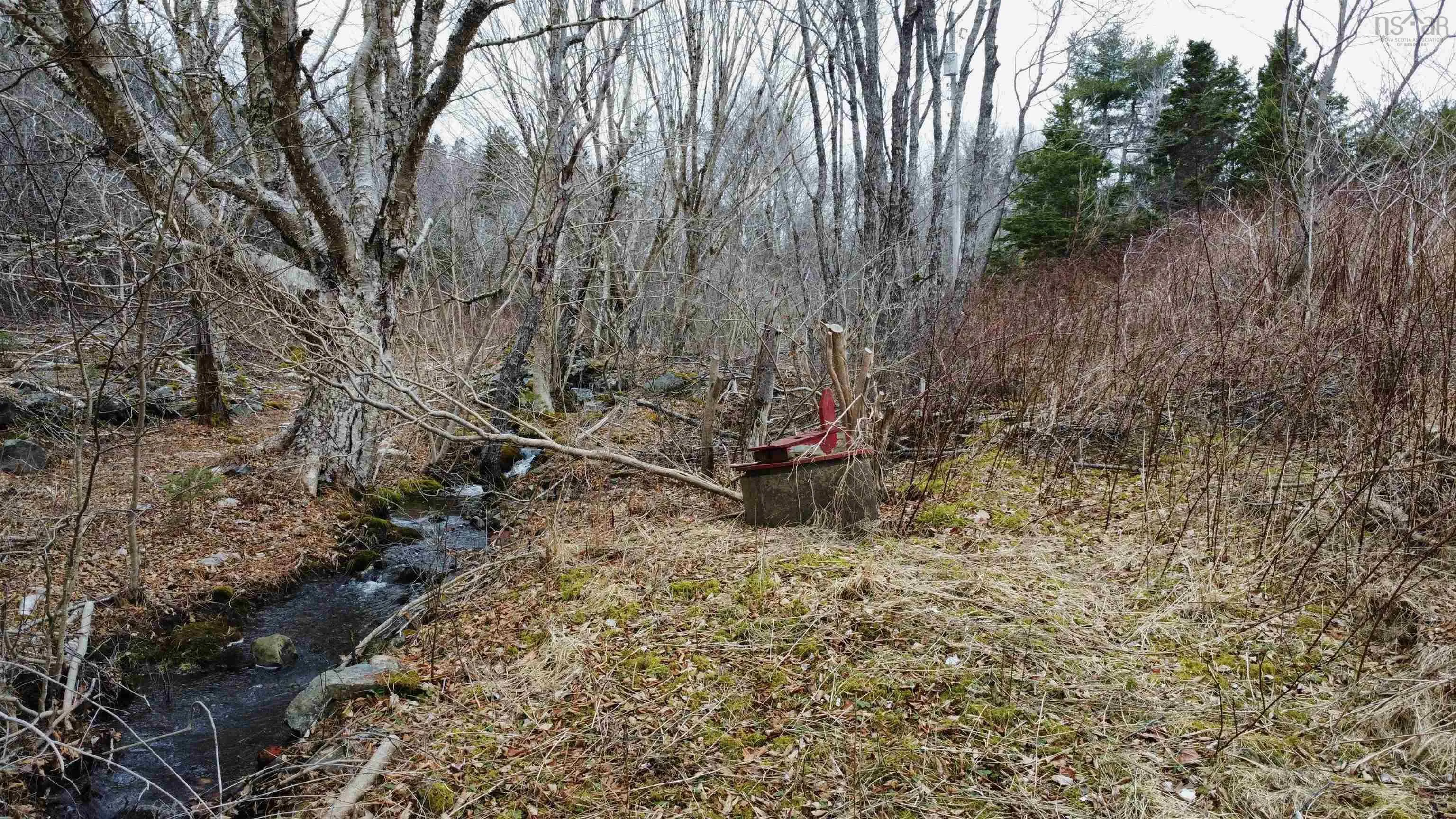 52 Adelia Road, Gold River Ns B0j 1k0, ,Land,For Sale,Adelia,202507881