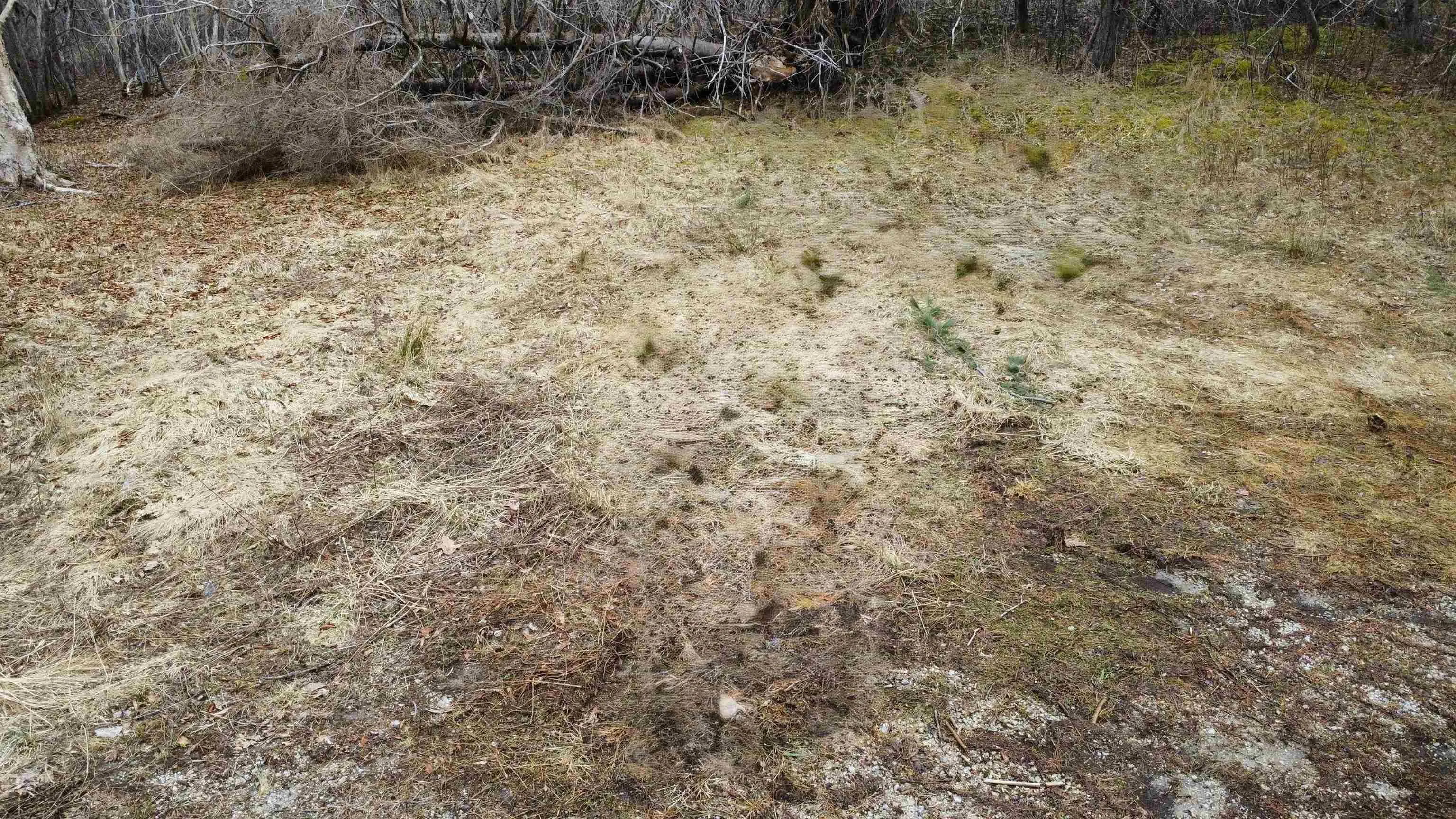 52 Adelia Road, Gold River Ns B0j 1k0, ,Land,For Sale,Adelia,202507881