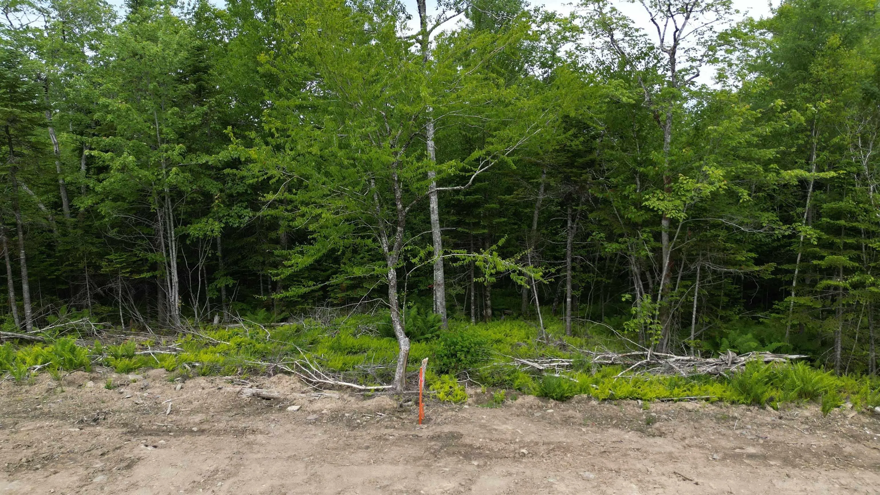 Block 1 Pearl Lane, Hillsvale, NS B0N 1Z0, ,Land,For Sale,Pearl,202515868