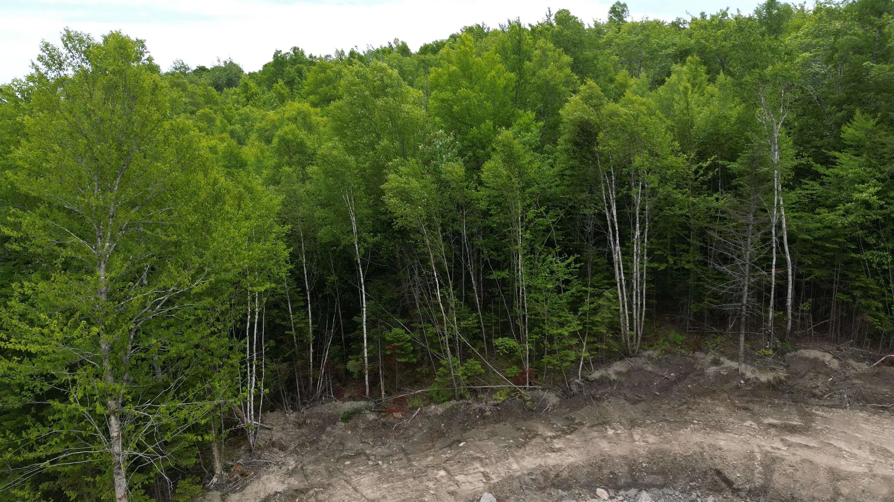 Block 1 Pearl Lane, Hillsvale, NS B0N 1Z0, ,Land,For Sale,Pearl,202515868