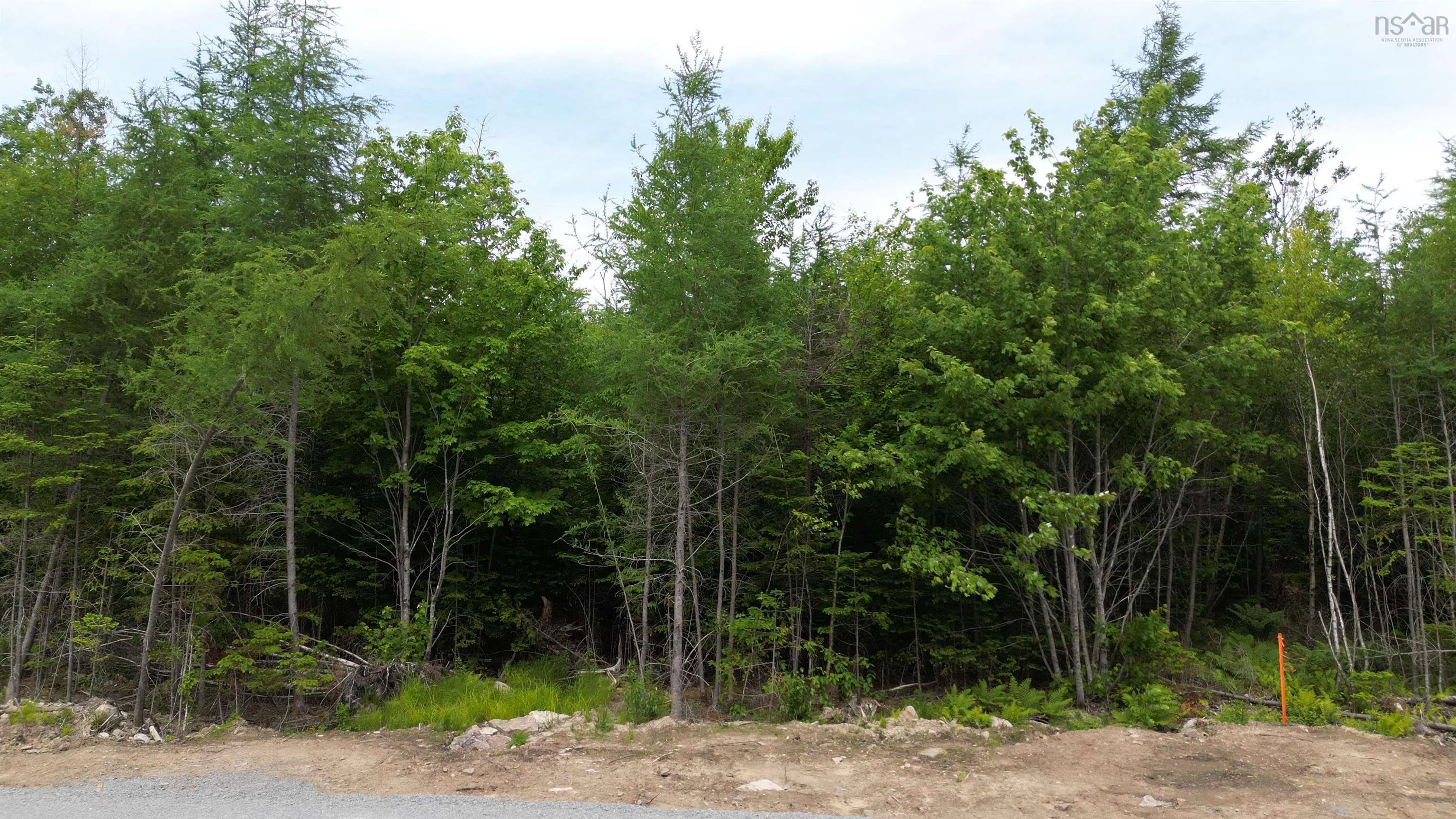 Block 1 Pearl Lane, Hillsvale, NS B0N 1Z0, ,Land,For Sale,Pearl,202515868