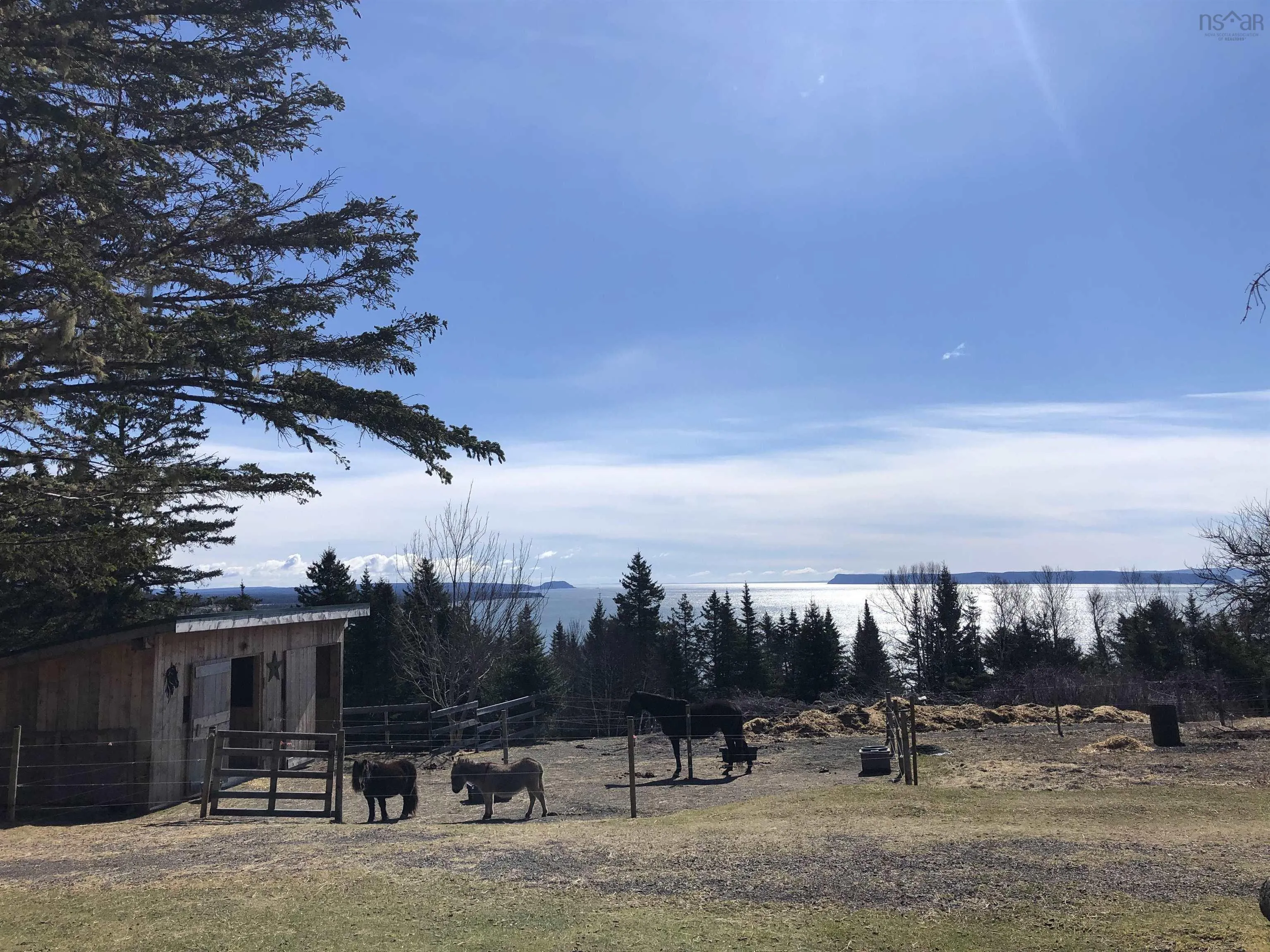 7787 Highway 209, Brookville, NS B0M 1S0, 2 Bedrooms Bedrooms, ,1 BathroomBathrooms,Farm,For Sale,Highway 209,202519341
