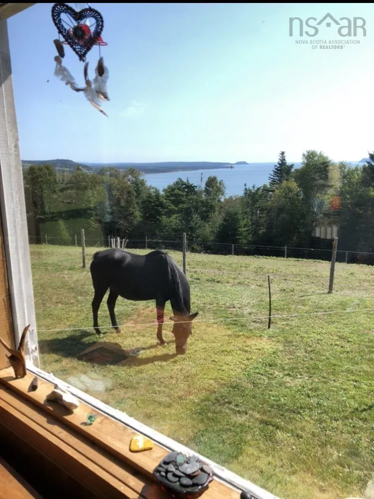 7787 Highway 209, Brookville, NS B0M 1S0, 2 Bedrooms Bedrooms, ,1 BathroomBathrooms,Farm,For Sale,Highway 209,202519341