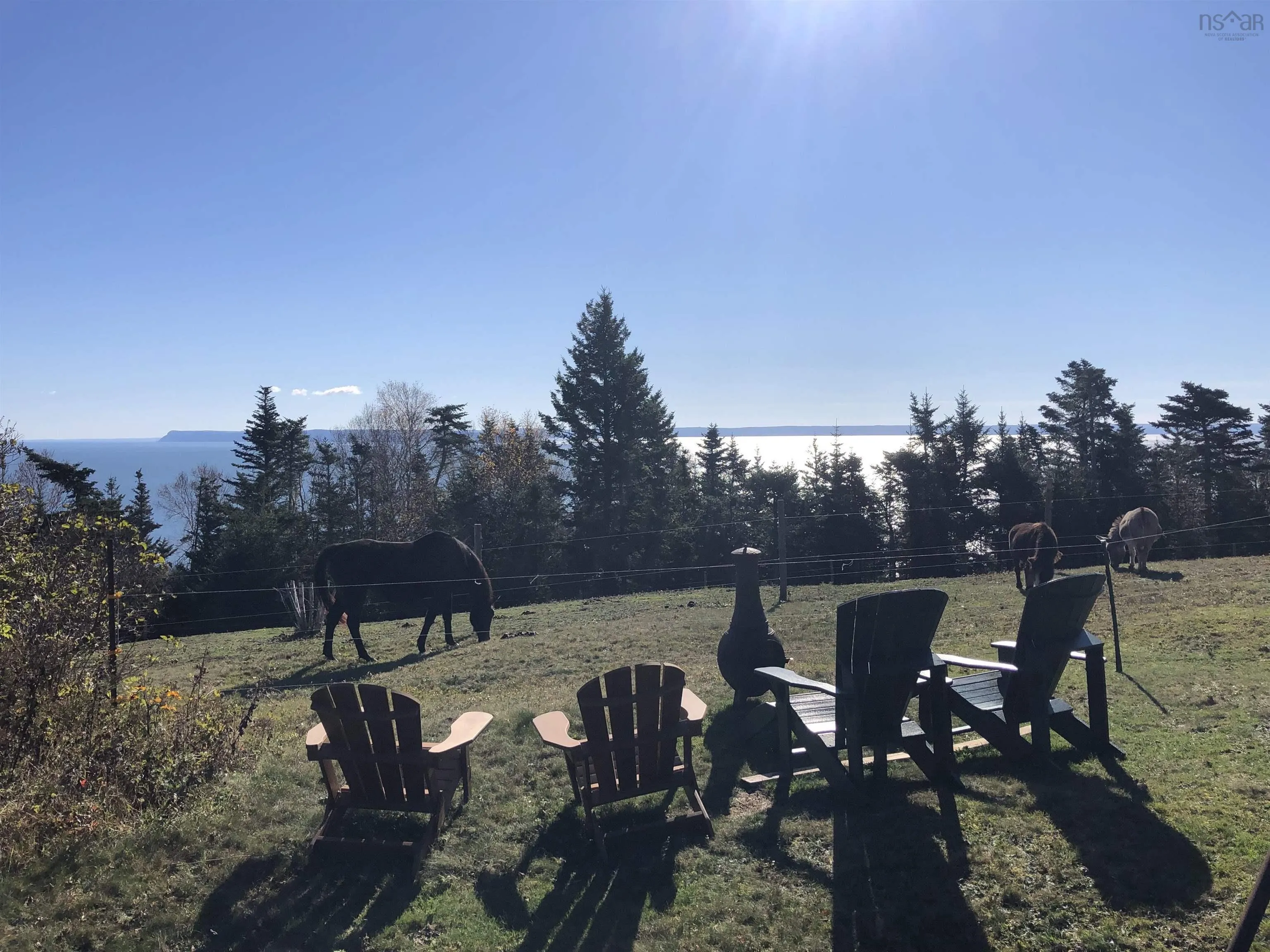 7787 Highway 209, Brookville, NS B0M 1S0, 2 Bedrooms Bedrooms, ,1 BathroomBathrooms,Farm,For Sale,Highway 209,202519341