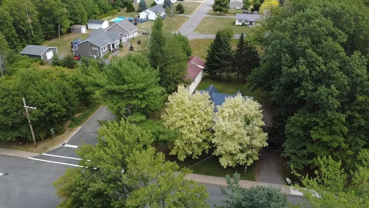58 7th Street, Trenton, NS B0K 1X0, 4 Bedrooms Bedrooms, ,1 BathroomBathrooms,Residential,For Sale,Seventh,202520509