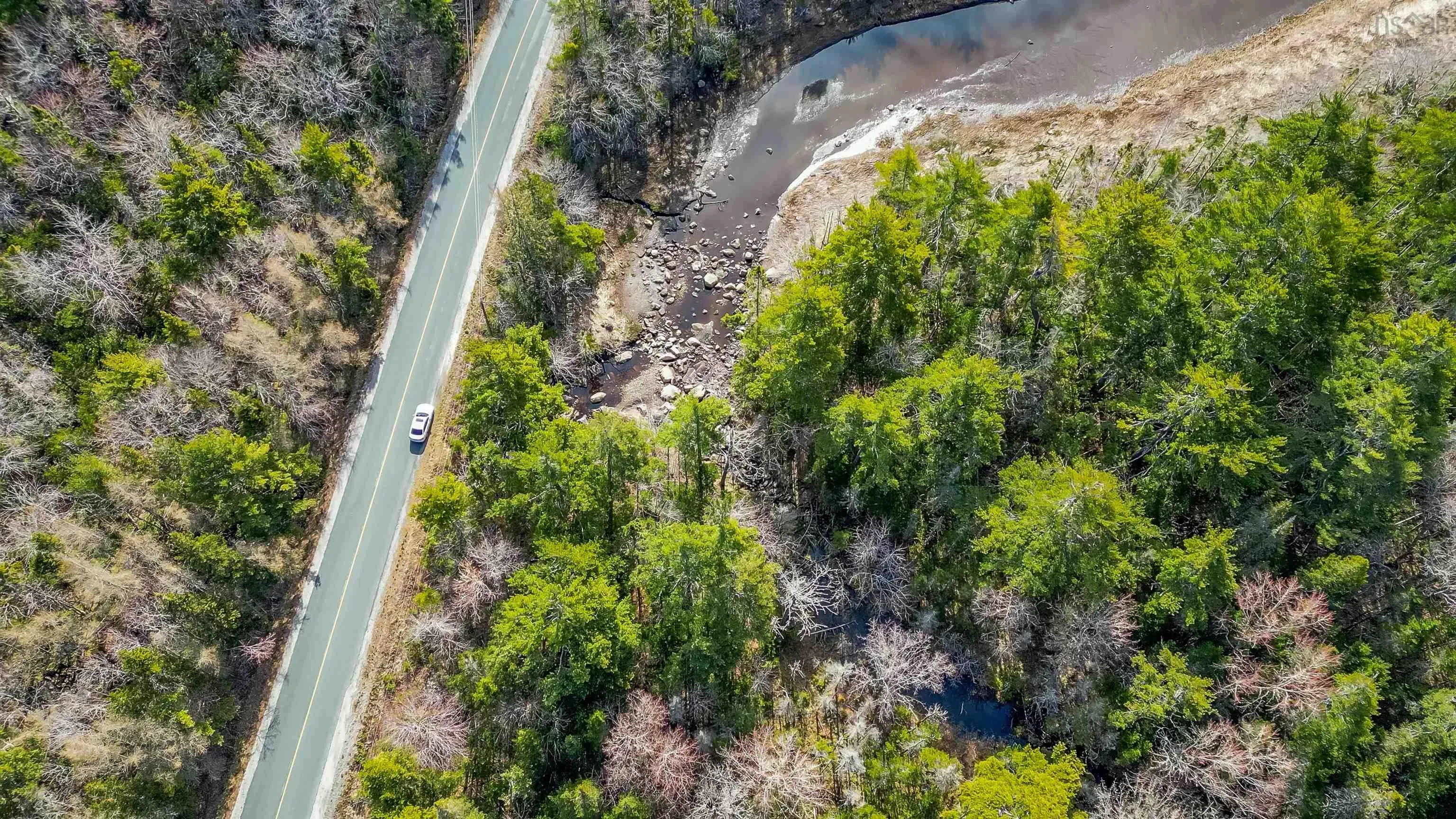 East Sable Rd Sable River, Ns Road, Sable River Ns B0t 1v0, ,Land,For Sale,East Sable Rd Sable River, Ns,202410948